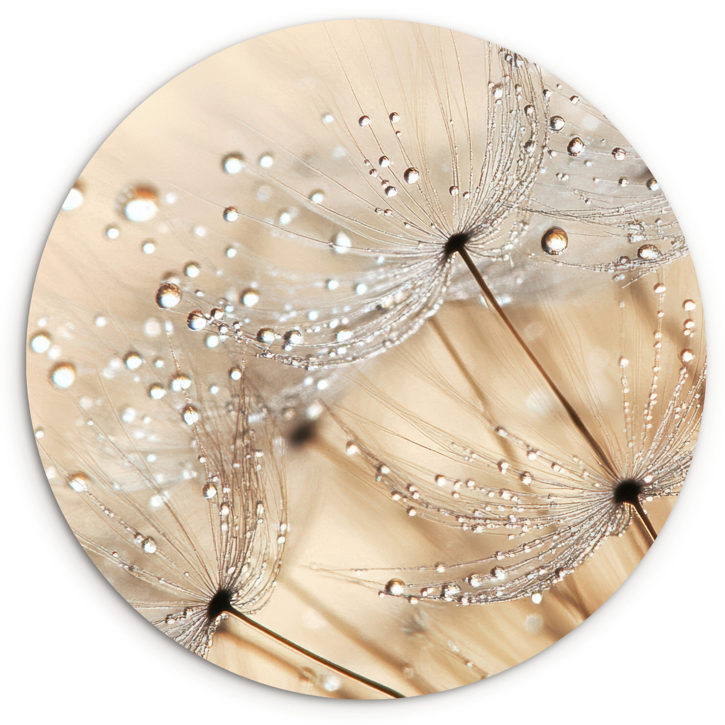 MuchoWow Gemälde Löwenzahn - Abstrakt - Natur - Beige, Fotodruck (1 St), Kreis Wanddekoration, Rundes Wandbild, 30x30 cm