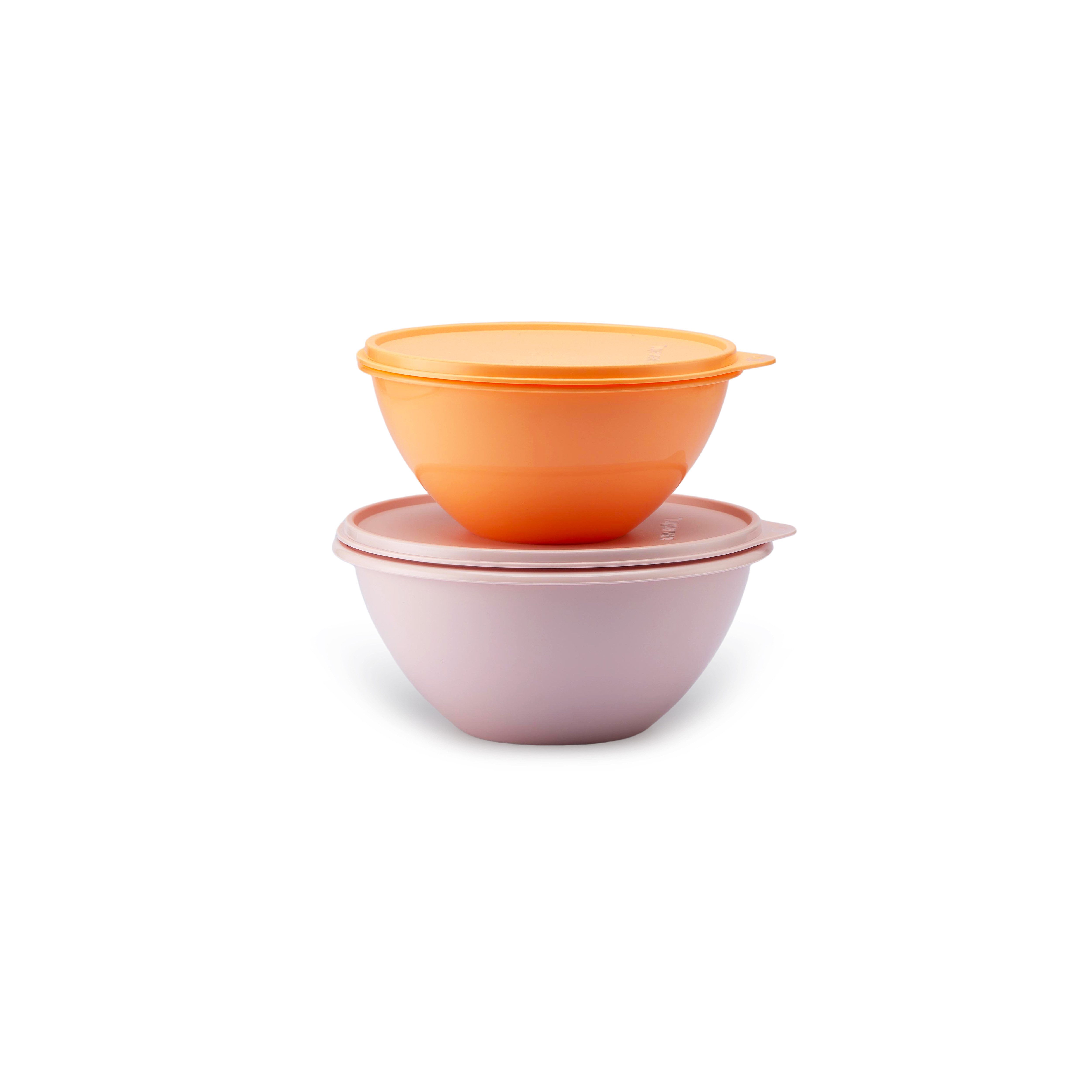 TUPPERWARE Vorratsdose Tupperware Kleines Wunderschüsselset (1 l u 1,7l)