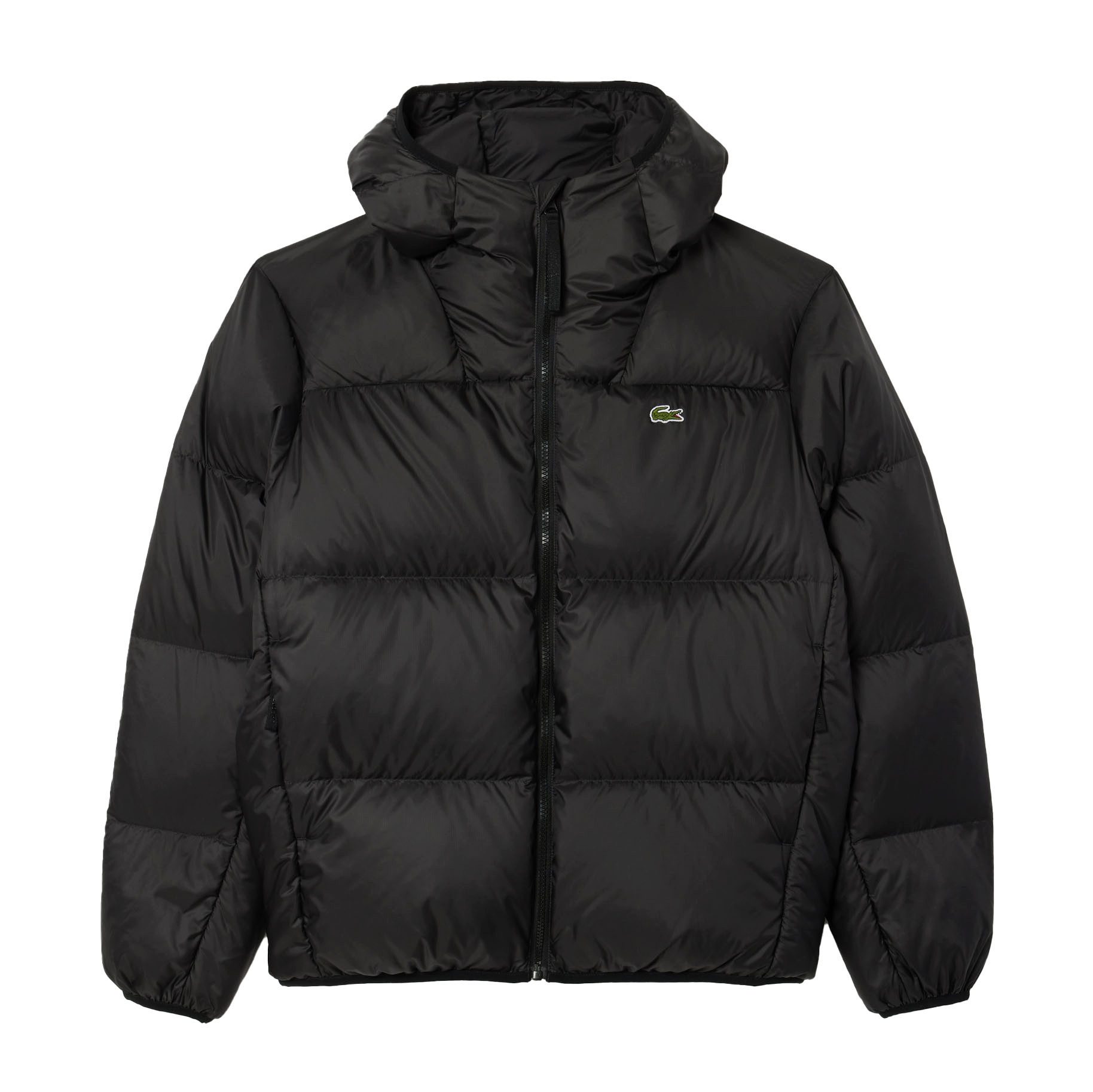 Lacoste Daunenjacke Lacoste Puffer Down Jacket