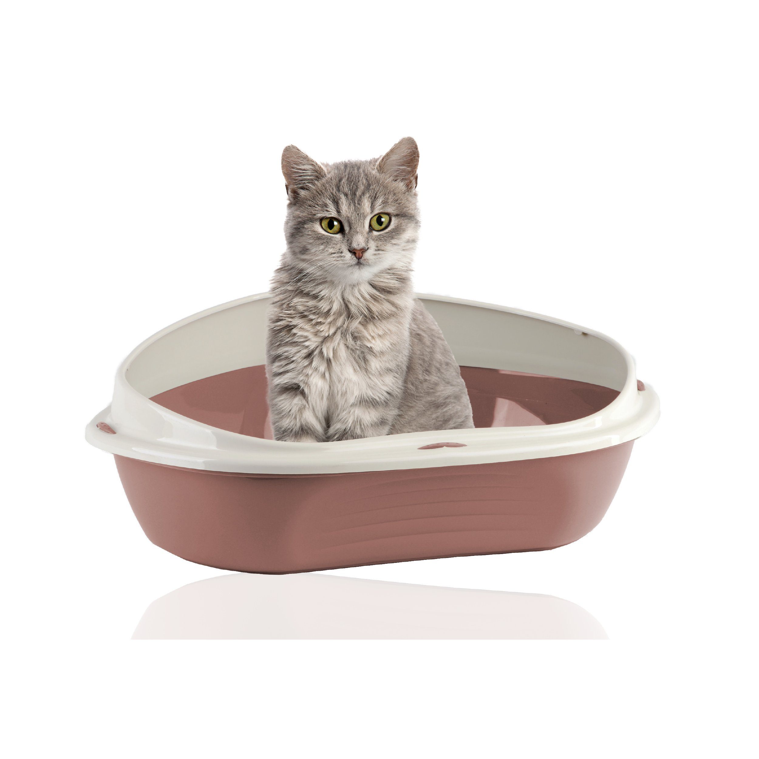 Rohrschneider Katzenecktoilette Eckiges Katzenklo Katzentoilette groß mit hohem Rand, platzsparend