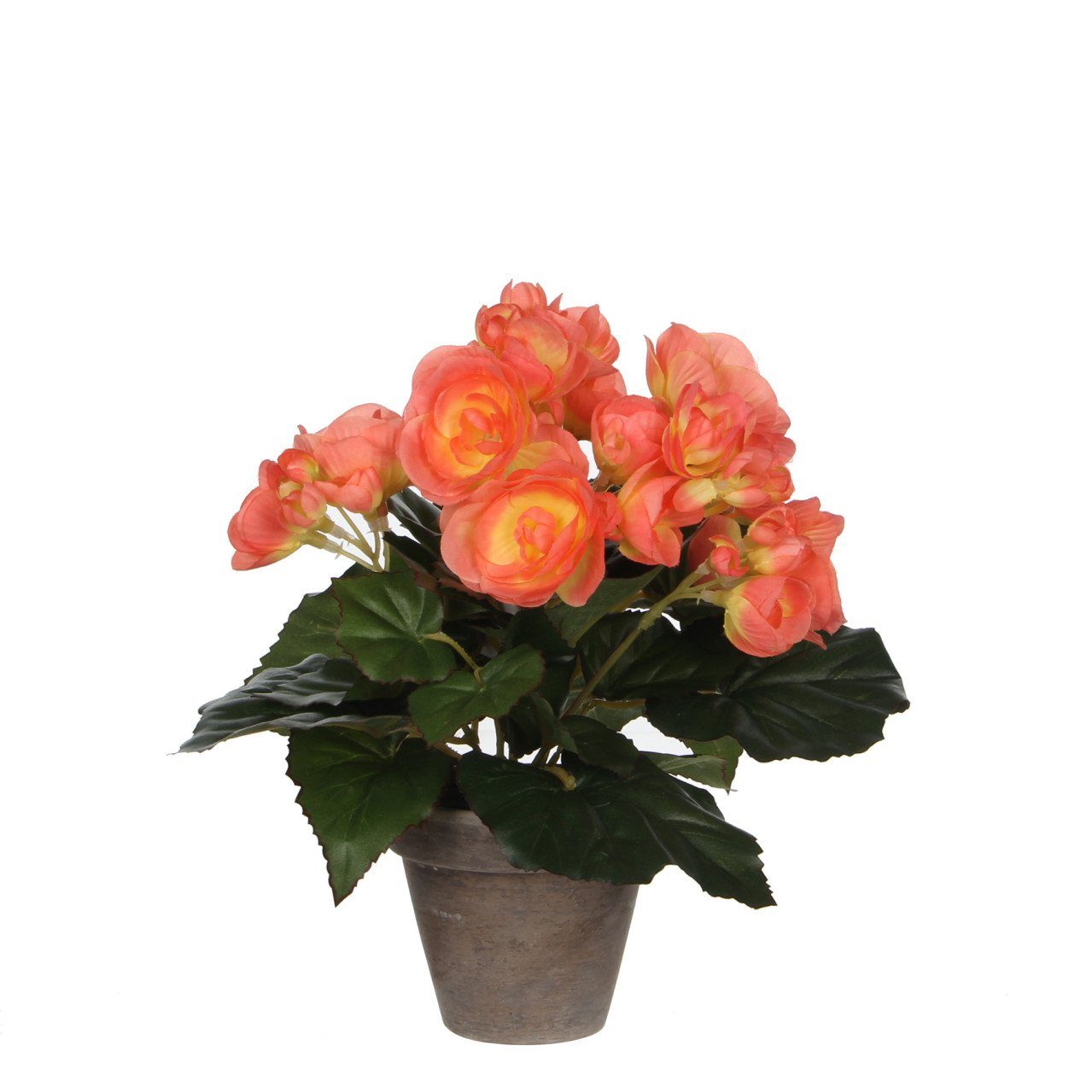 Kunstpflanze Mica Begonia im Topf lachs, 25 x 20 cm, Mica Decorations
