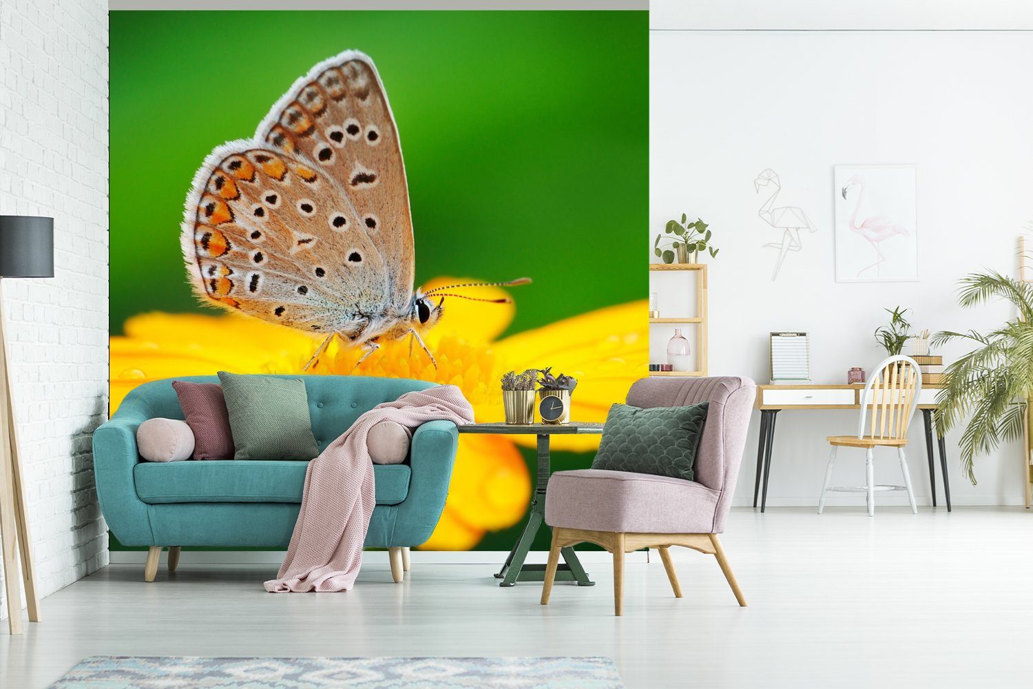 Wohnzimmer bedruckt, Matt, Blumen - für MuchoWow (5 - Tapete Wandtapete Schlafzimmer, Fototapete Schmetterling Natur, Vinyl oder St),