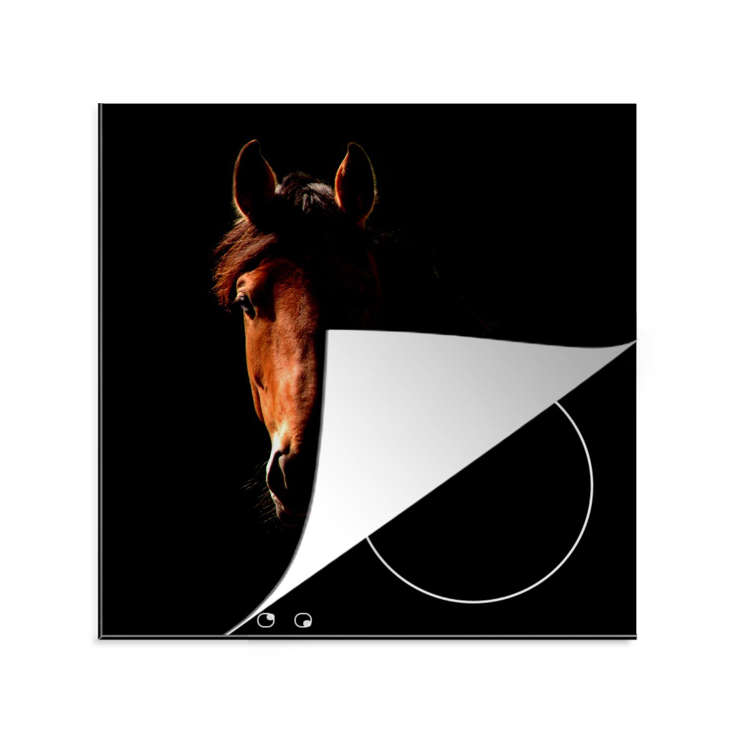 MuchoWow Herdblende-/Abdeckplatte Pferd - Licht - Porträt, Vinyl, (1 tlg), 78x78 cm, Ceranfeldabdeckung, Arbeitsplatte für küche | Herdabdeckplatten