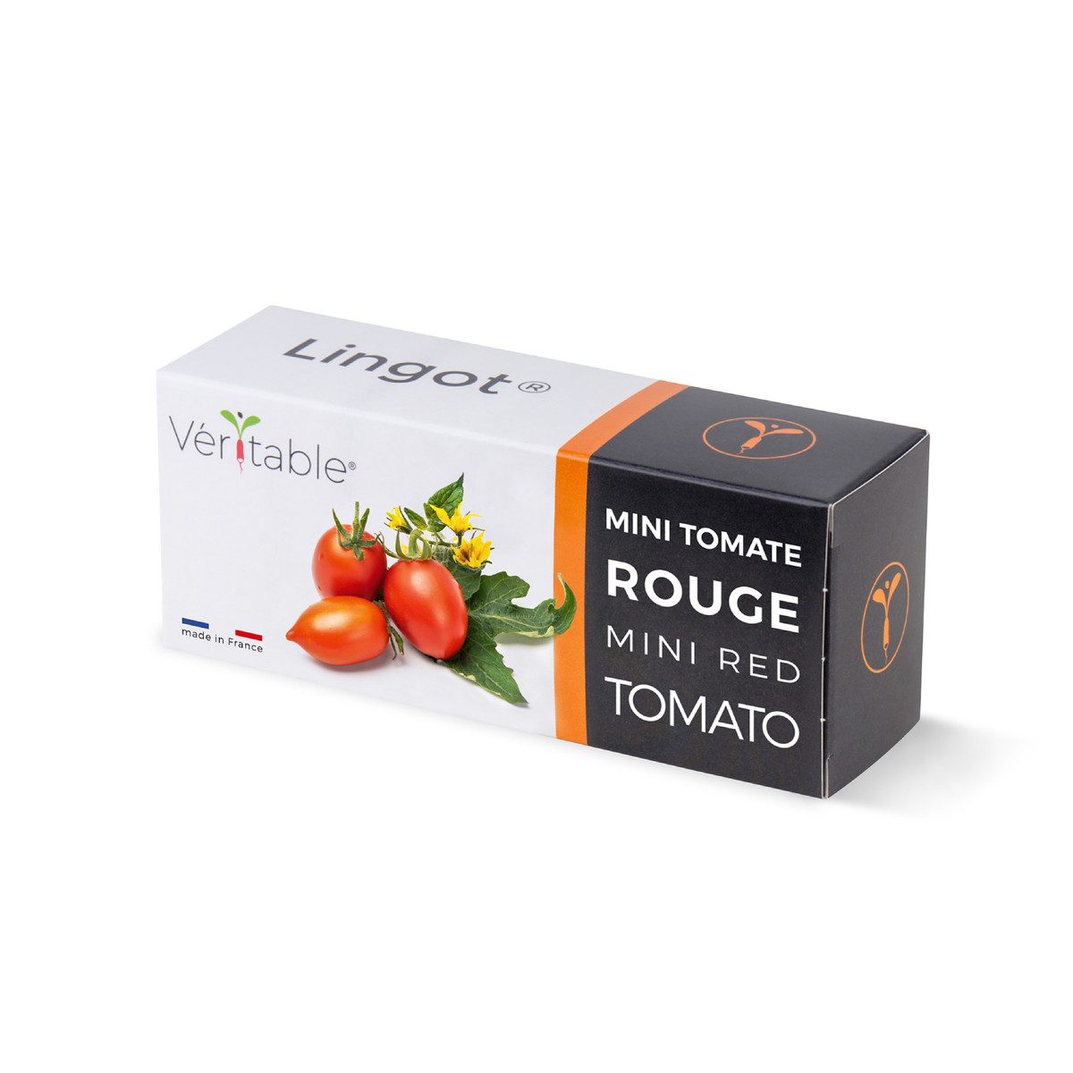 Anzuchttopf Lingot Red mini Tomato