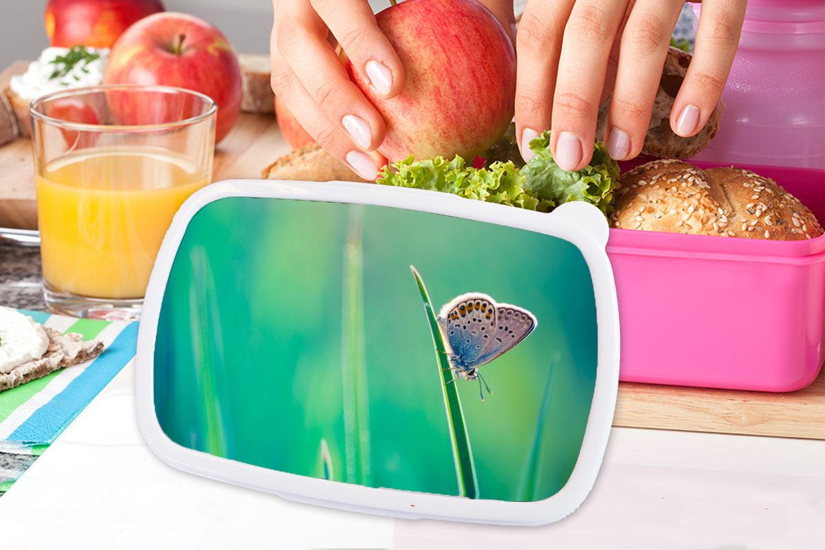 MuchoWow Lunchbox Mädchen, Licht, für Kinder, Kunststoff, Brotdose rosa Schmetterling Erwachsene, - Kunststoff Snackbox, (2-tlg), Gras - Brotbox