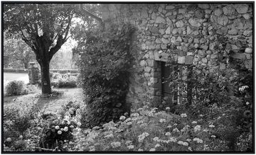 Papermoon Infrarotheizung Garten Schwarz & Weiß, sehr angenehme Strahlungswärme