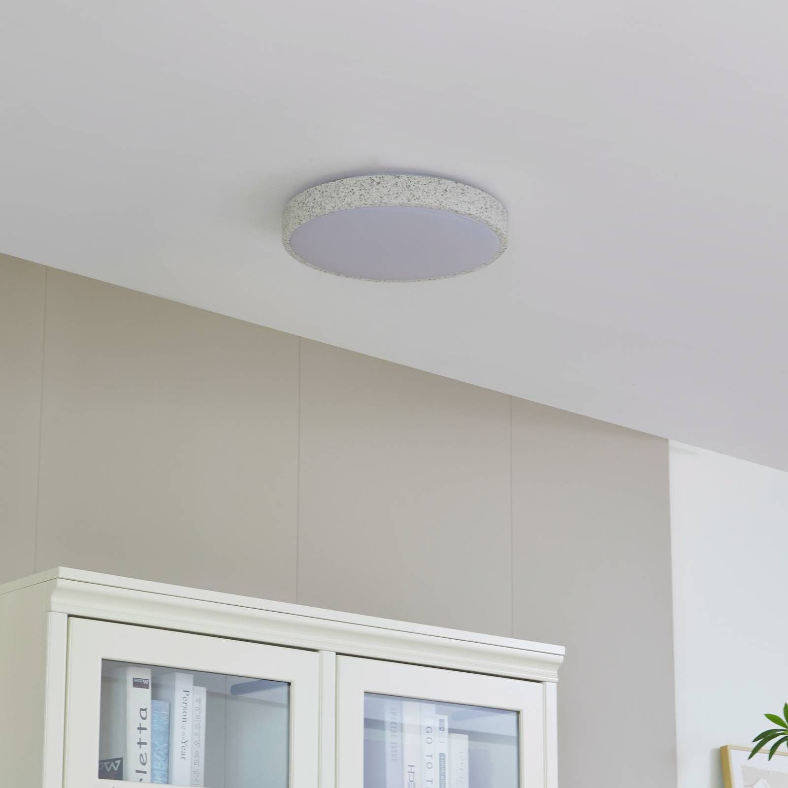 Lindby Deckenleuchten Elmor, LED, Metall, Alu Farbwechsel RGB + weiß IP20, LED 24 W gesamt, Farbwechsel RGB + weiß