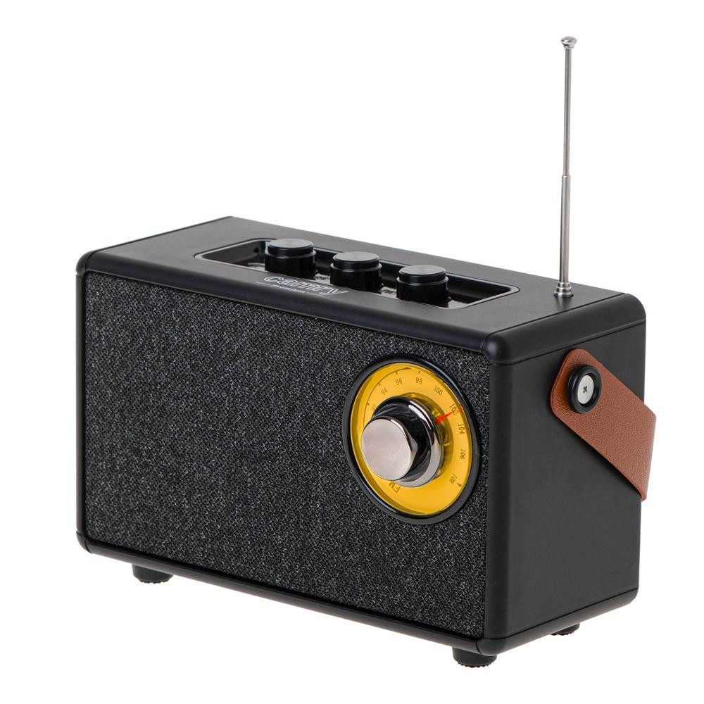 Camry CR 1902 Radio (mit Bluetooth, tragbares FM Küchenradio, USB, AUX, schwarz)