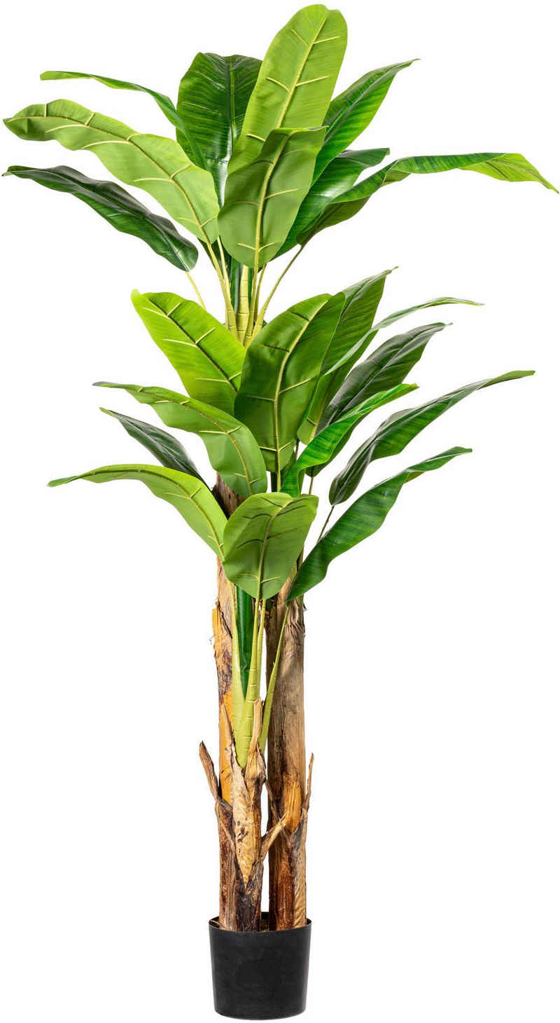 Kunstpalme Bananenpflanze Bananenpflanze, Creativ green, Höhe 180 cm