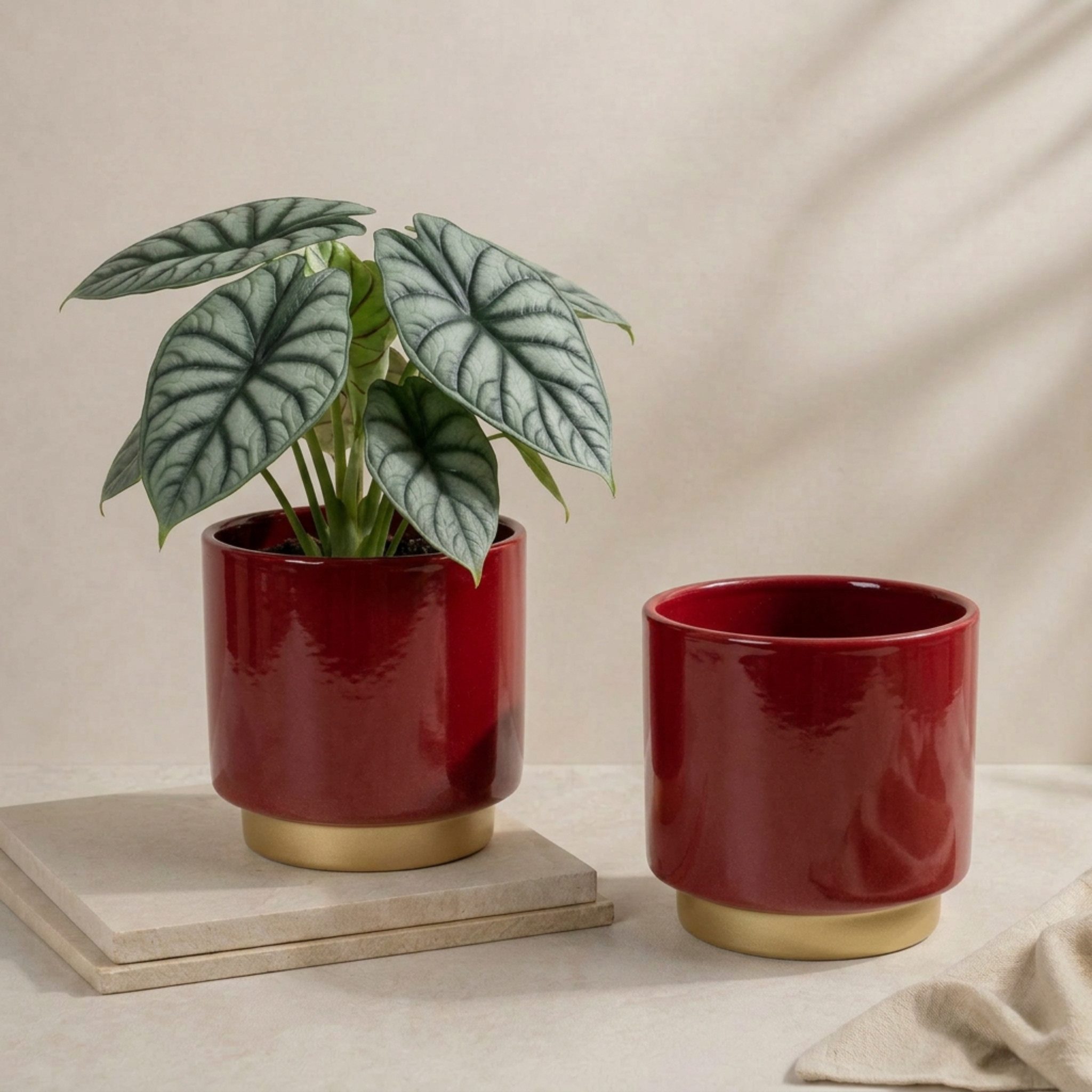 matches21 HOME & HOBBY Blumentopf Übertöpfe in Ø 10,5 cm, Dunkelrote Blumentöpfe im 2er Set (2 St), Blumenübertöpfe aus Keramik für Zimmerpflanzen
