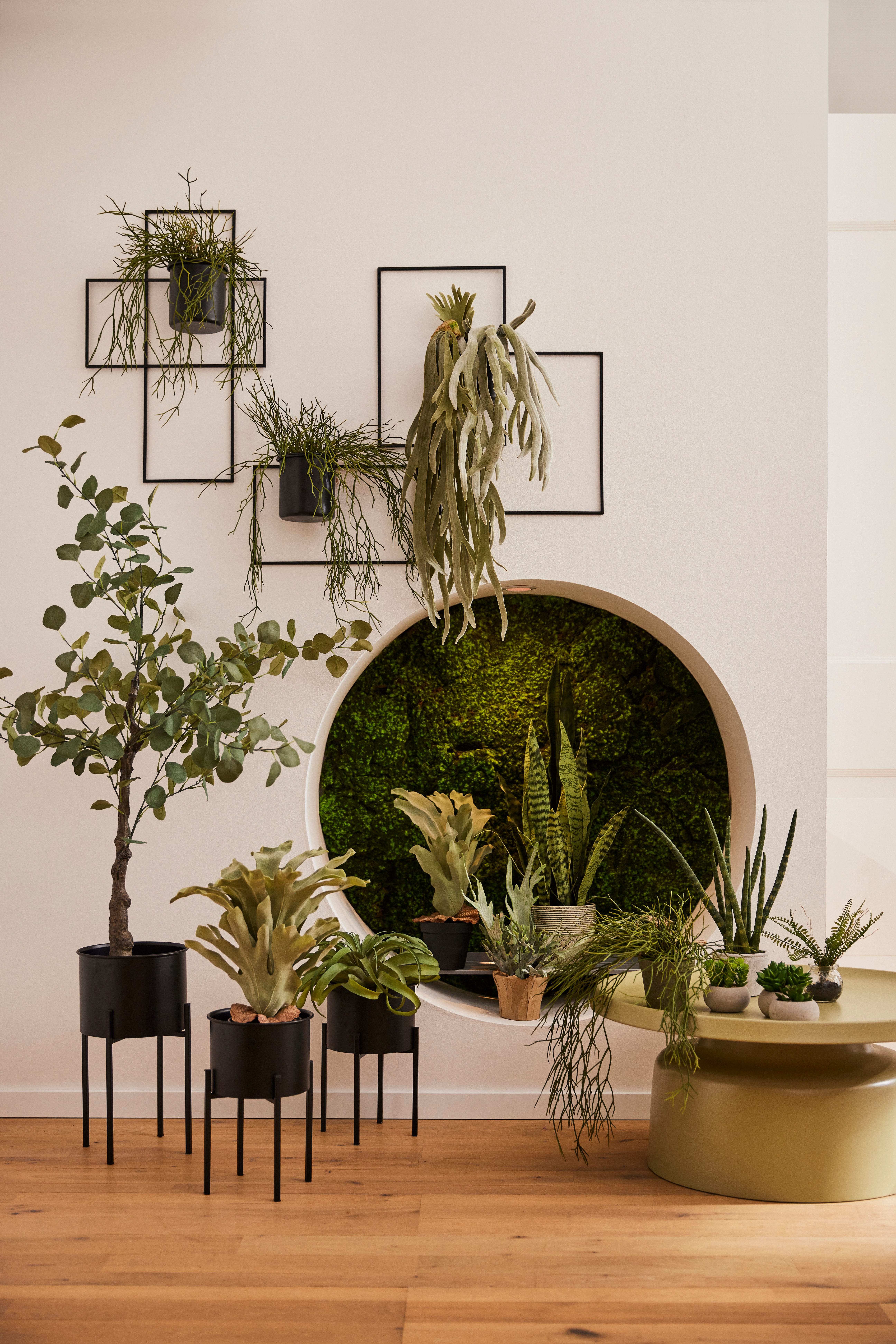 Kunstpflanze Tillandsie, Creativ green, Höhe 35 cm günstig online kaufen