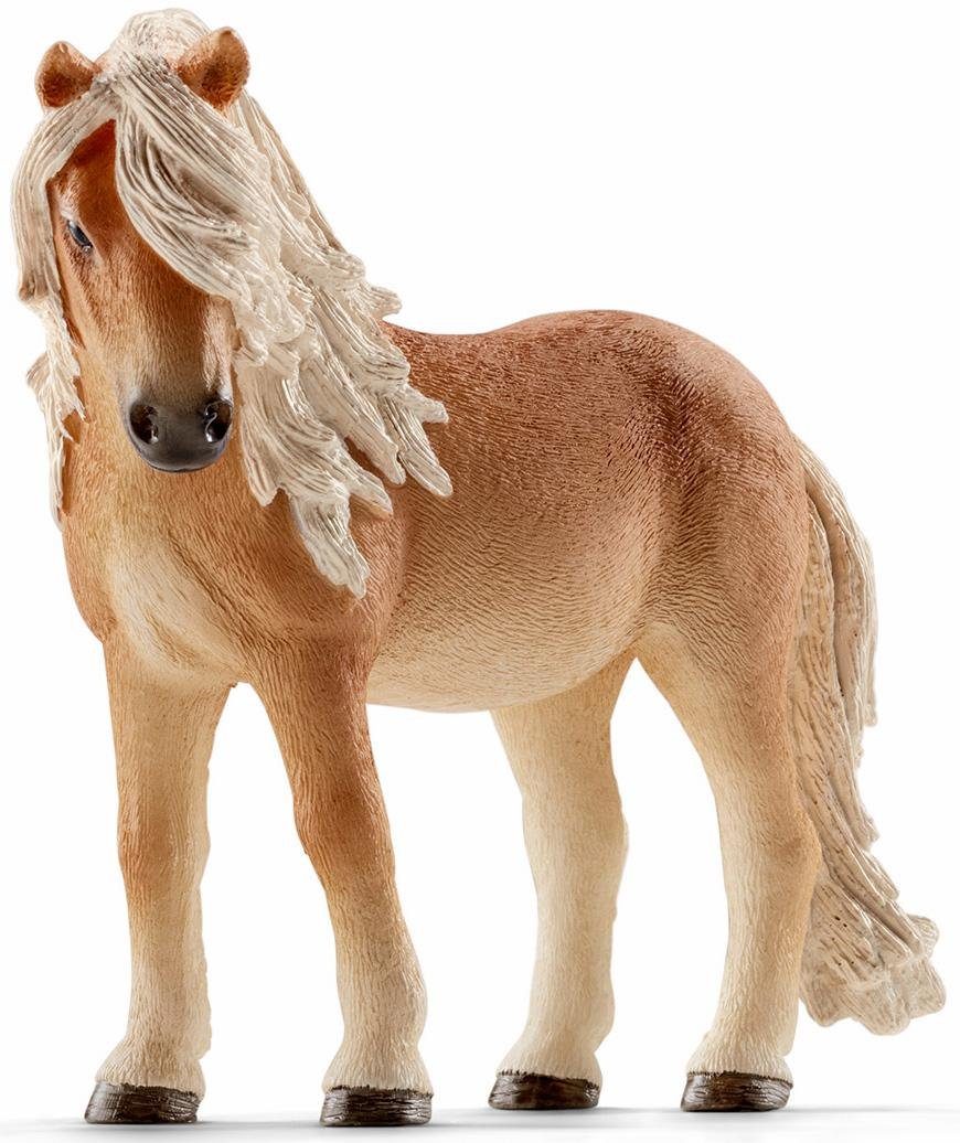 Island Pony Ausmalbild