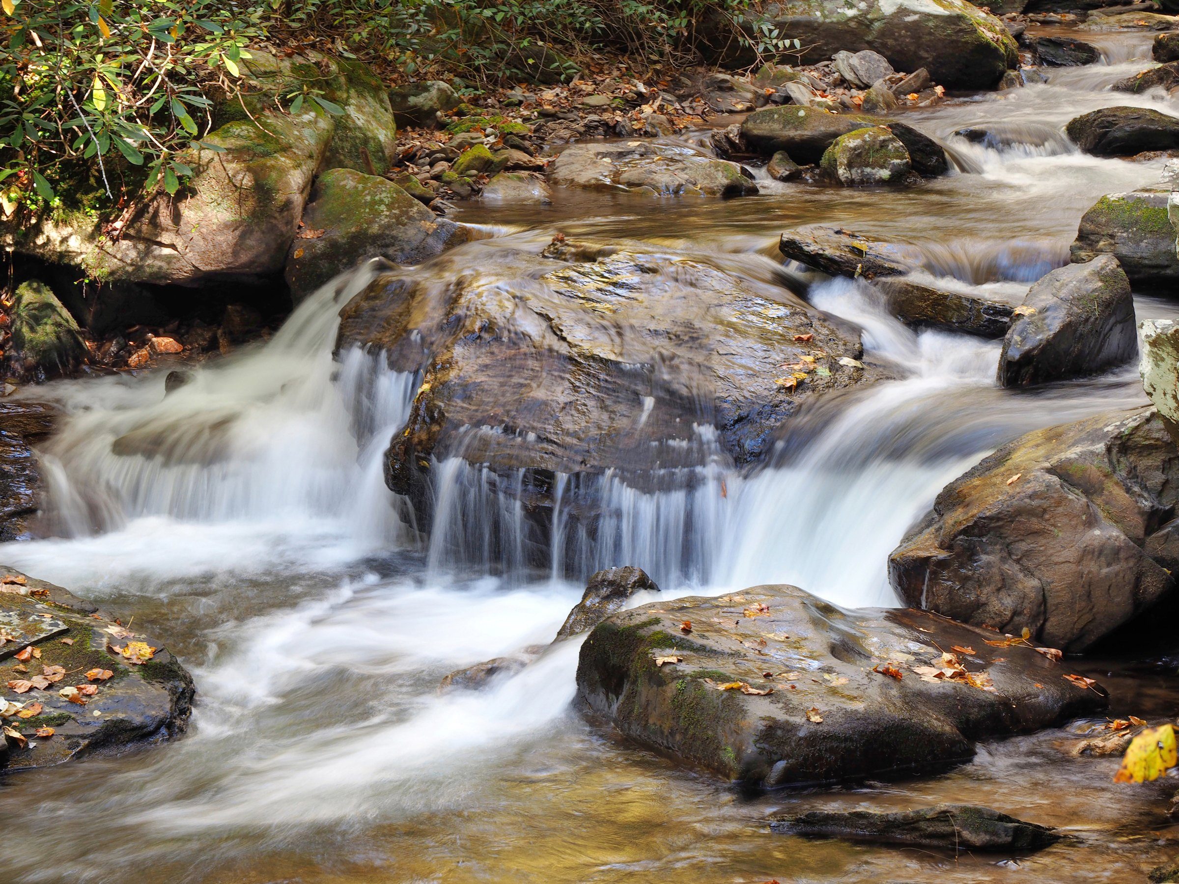 Papermoon Fototapete WASSERFALL-BÄUME FLUSS SEE STEINE BLUME WALD BACH SONNE