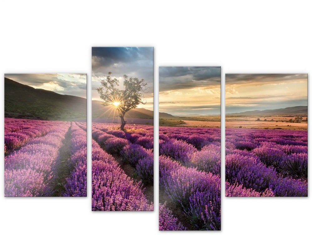 Wall-Art Mehrteilige Bilder Lavendelblüte Provence 4 St) 4-tlg, (Set