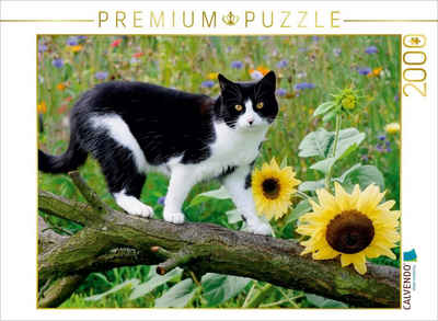 CALVENDO Puzzle CALVENDO Puzzle Schwarz-weiße Katze mit Sonnenblumen 2000 Teile Lege-Größe 90 x 67 cm Foto-Puzzle Bild von Katho Menden, 2000 Puzzleteile