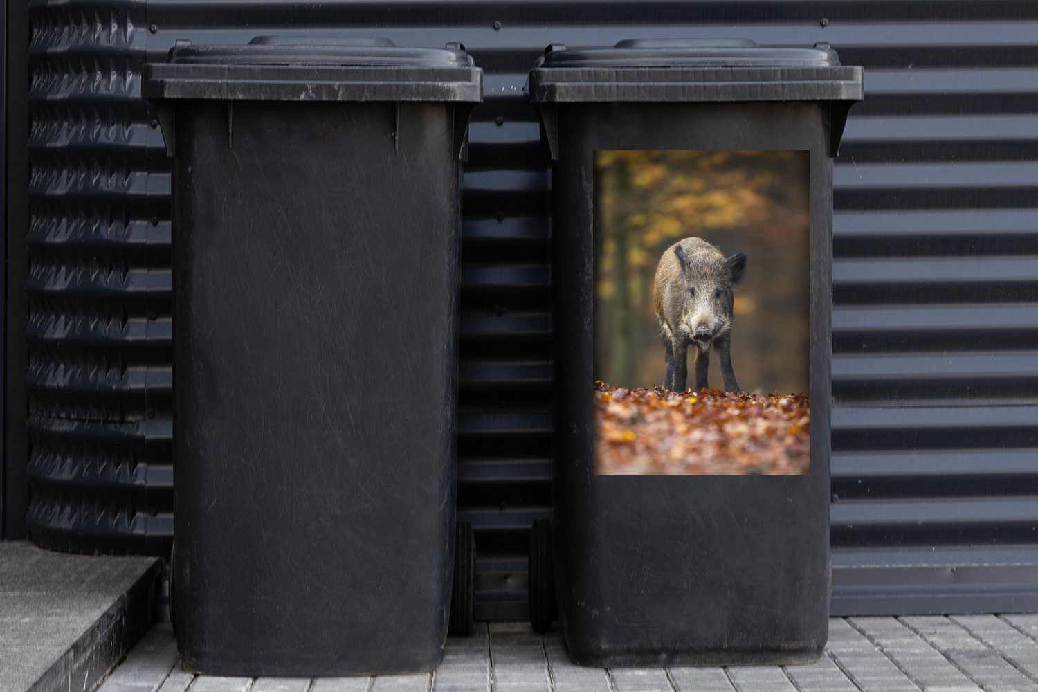 Container, MuchoWow St), (1 Sticker, - Mülltonne, Wildtier - Herbst Wald Abfalbehälter Wandsticker Mülleimer-aufkleber,