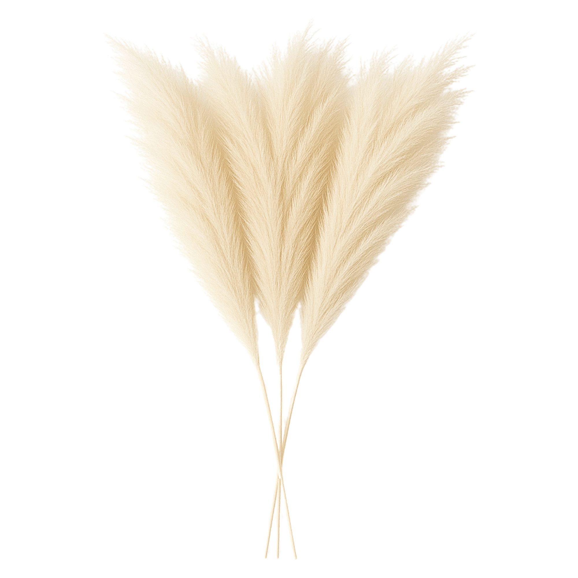 Kunstpflanze Layba Künstliches Pampasgras in Beige – 3er-Set