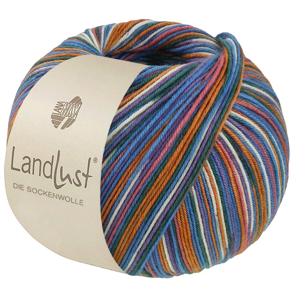 LANA GROSSA Landlust DIE SOCKENWOLLE mit Seide Häkelwolle, 400 m (Sockengarn von Lana Grossa und Landlust), 100 g