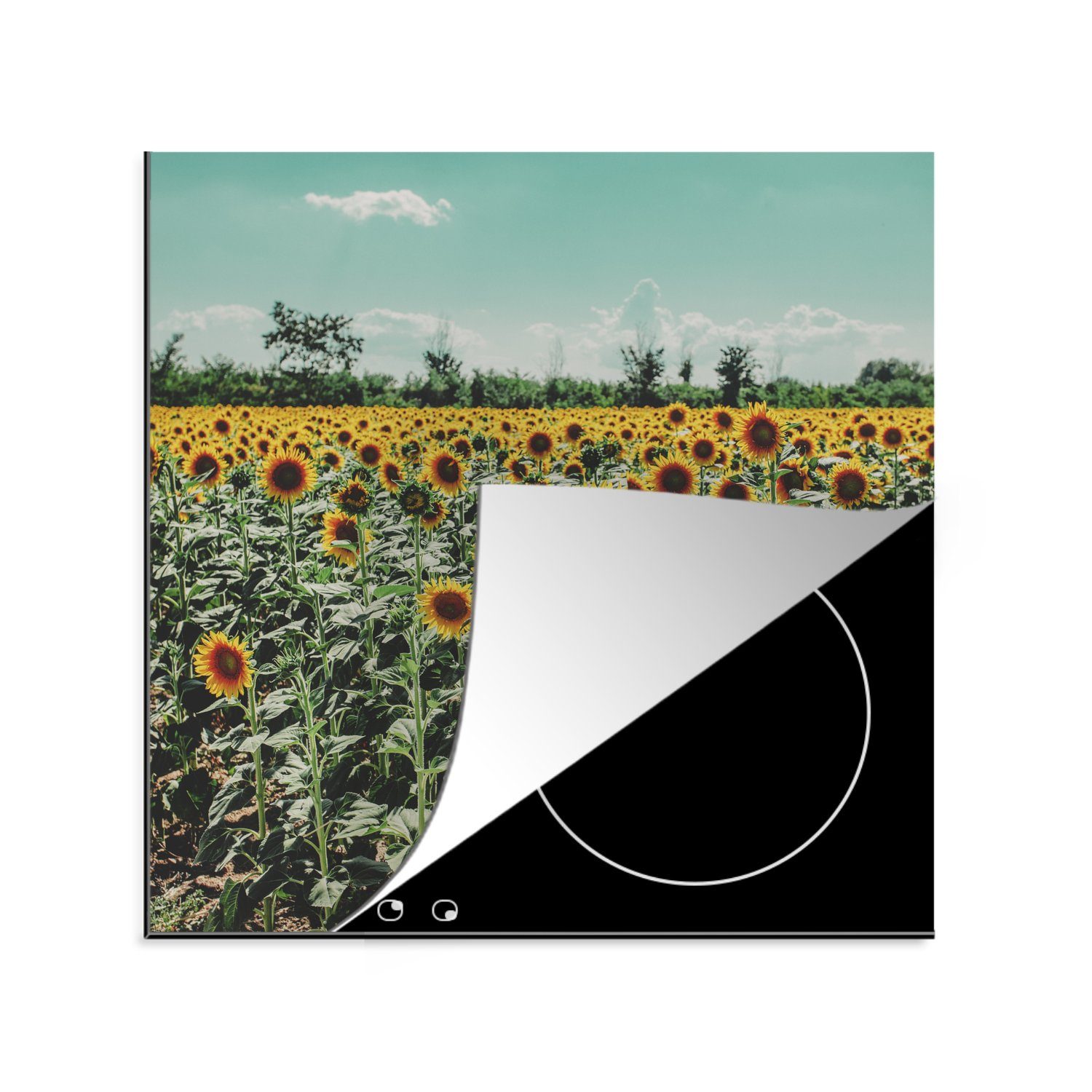 MuchoWow Herdblende-/Abdeckplatte Blumen - Sonnenblumen - Italien, Vinyl, (1 tlg), 78x78 cm, Ceranfeldabdeckung, Arbeitsplatte für küche