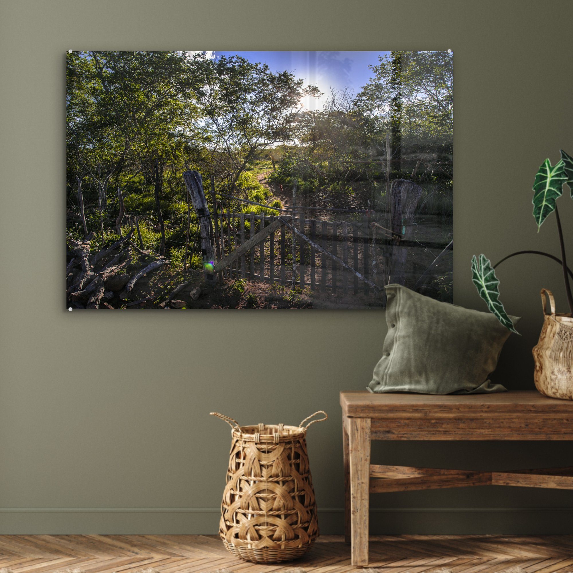 (1 einem Grüne St), sonnigen Acrylglasbild Catimbau, an Tag Wohnzimmer in Schlafzimmer & und Pflanzen Bäume Acrylglasbilder MuchoWow