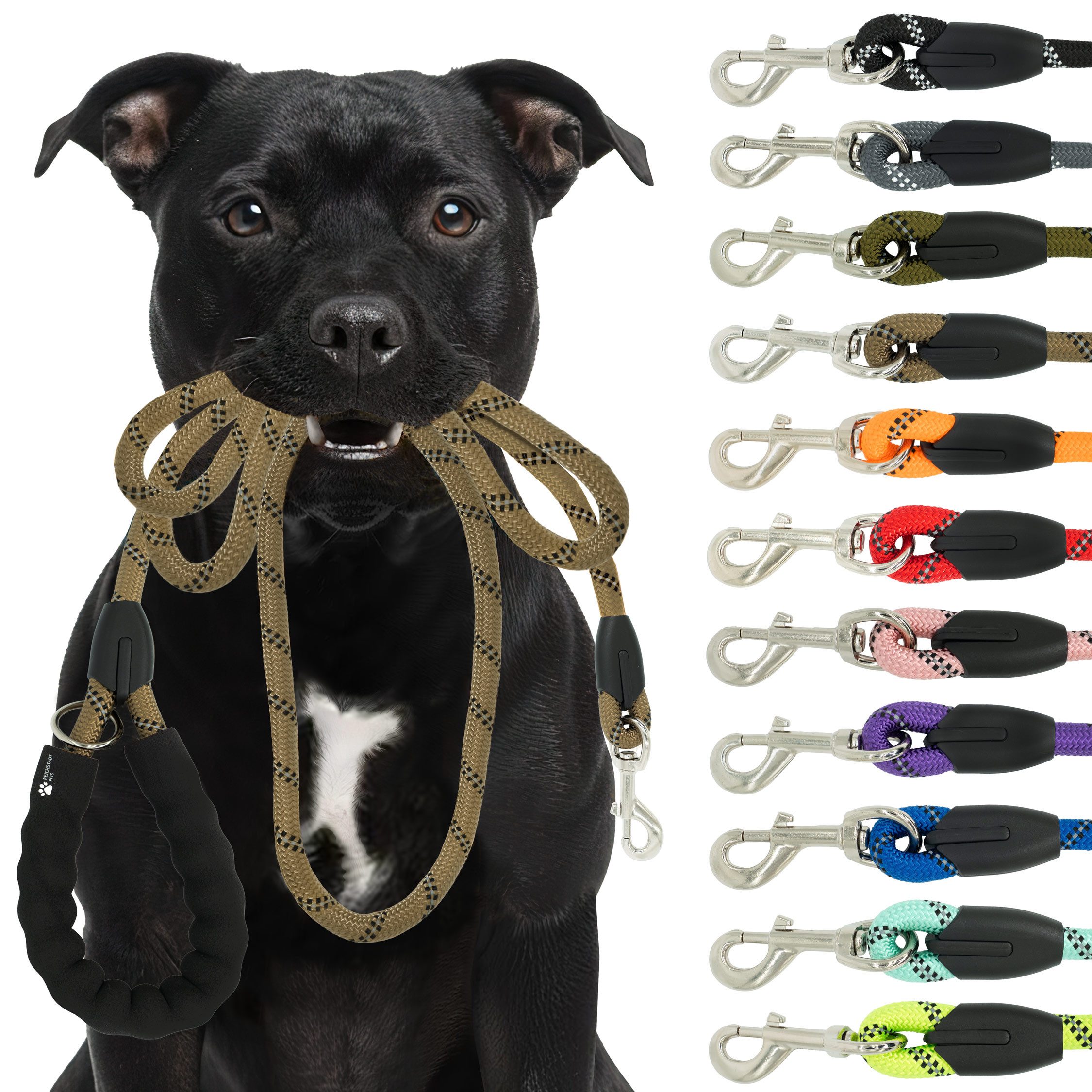 Reichstadt Hundeleine RS Pets Führleine Nylon 25RSP084, Nylon, Ergonomischer EVA-gepolsterter Griff für Blasenschutz von Reichstadt