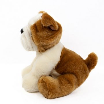 Teddys Rothenburg Kuscheltier Französische Bulldogge 26 cm sitzend braun-weiß Kuscheltier Hund