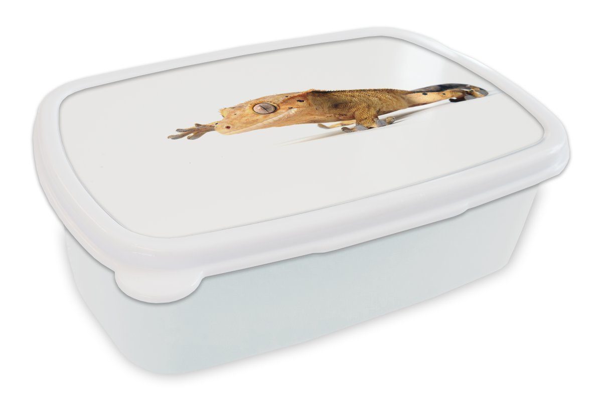 MuchoWow Lunchbox Laufender Gecko, Kunststoff, (2-tlg), Brotbox für Kinder und Erwachsene, Brotdose, für Jungs und Mädchen weiß