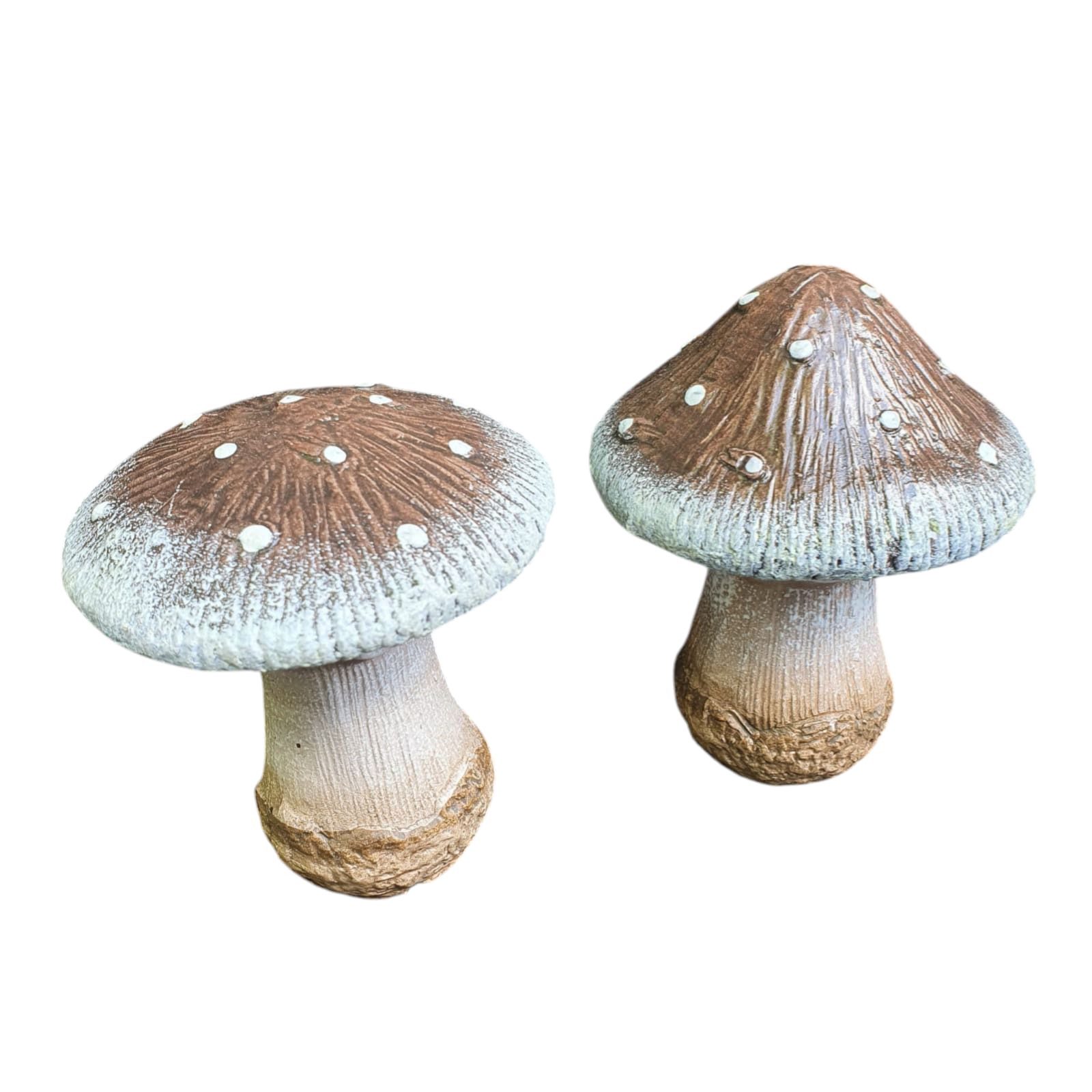 Aspinaworld Gartenfigur Fliegenpilz 2er Set 13 günstig online kaufen