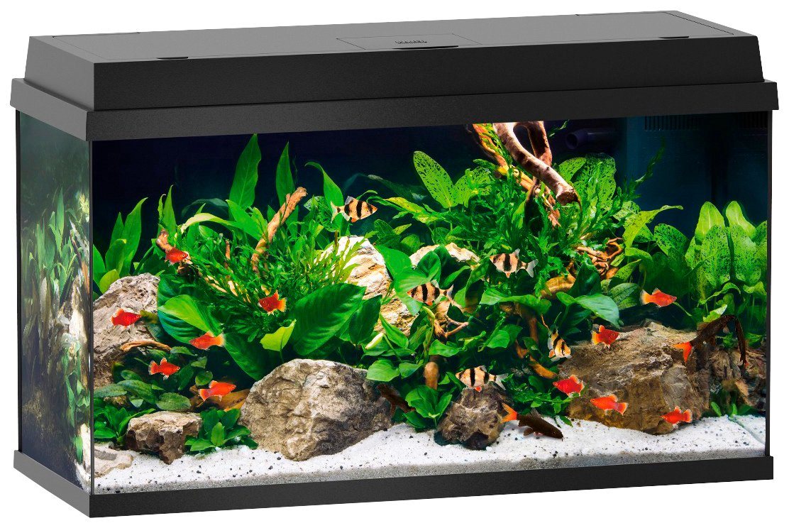 Unterschrank Aquarium 100 Preisvergleich • Die besten Angebote ... Unterschrank Aquarium 100 Preisvergleich • Die besten Angebote ...