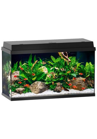 JUWEL AQUARIEN Аквариум »Primo 110« 110 L...