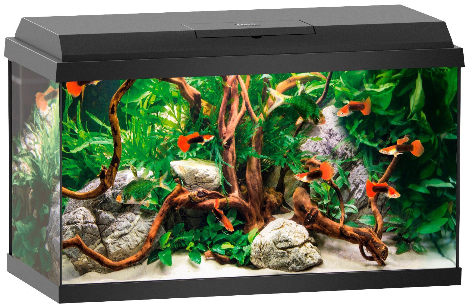 JUWEL AQUARIEN Aquarium »Primo 60«, 60 Liter, BxTxH 61x31x37 cm, schwarz online kaufen OTTO
