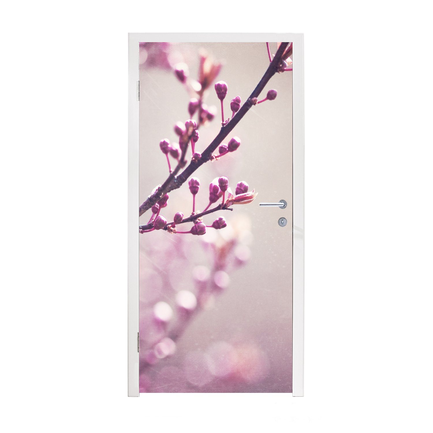 der Fototapete Matt, violetten 75x205 bedruckt, Sakura, Nahaufnahme Tür, MuchoWow cm Blüten Türaufkleber, Türtapete einer St), für (1