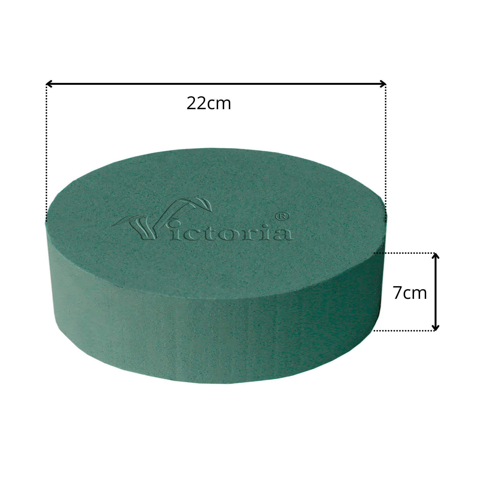 Creativery Bastelmoos, Nass Steckschaum Rund 22x7cm für Frischblumen 1 Stück