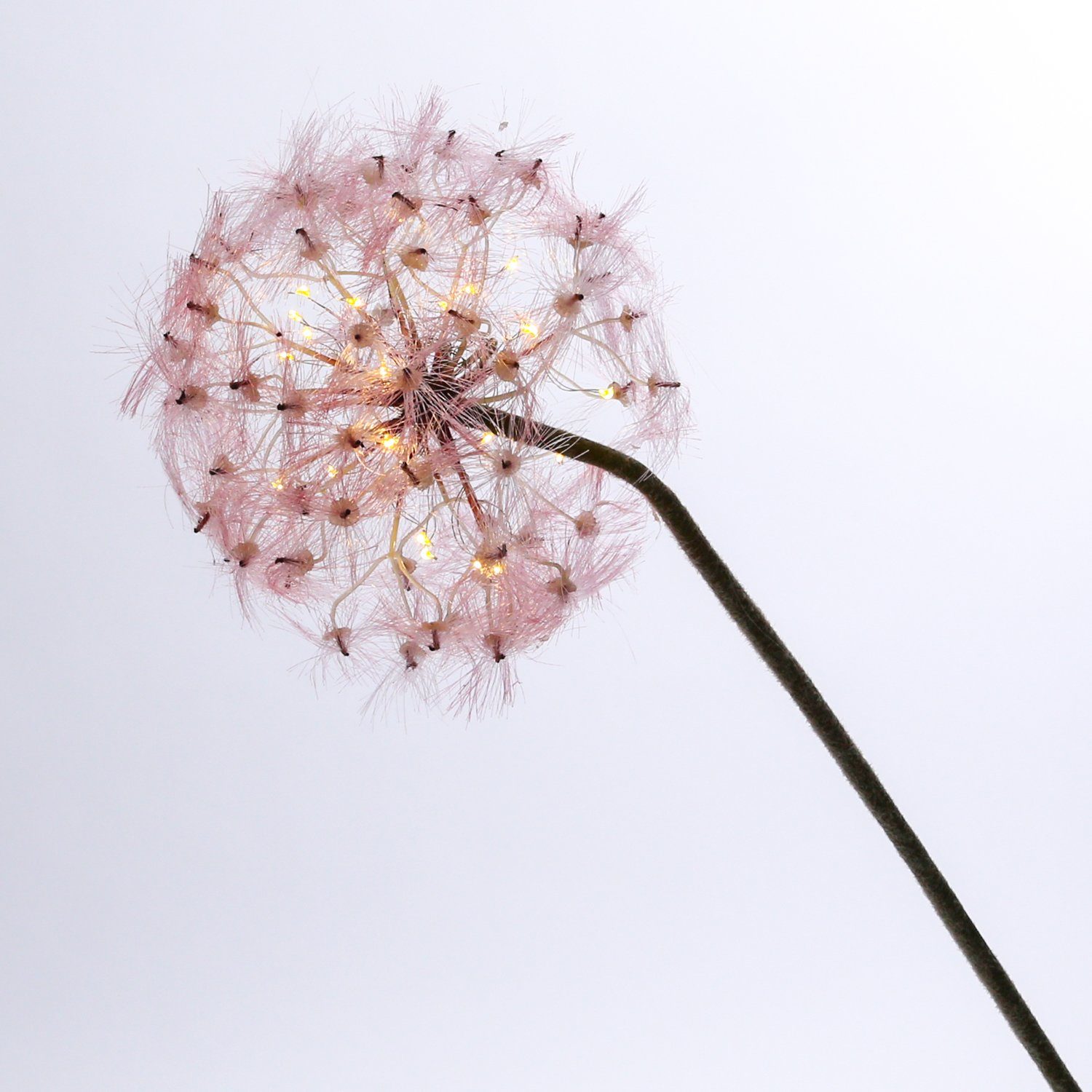 Dandelion Pusteblume 22-flammig Kunstblume rosa, MARELIDA XL Blume LED-Leuchtzweig Vasendeko LED