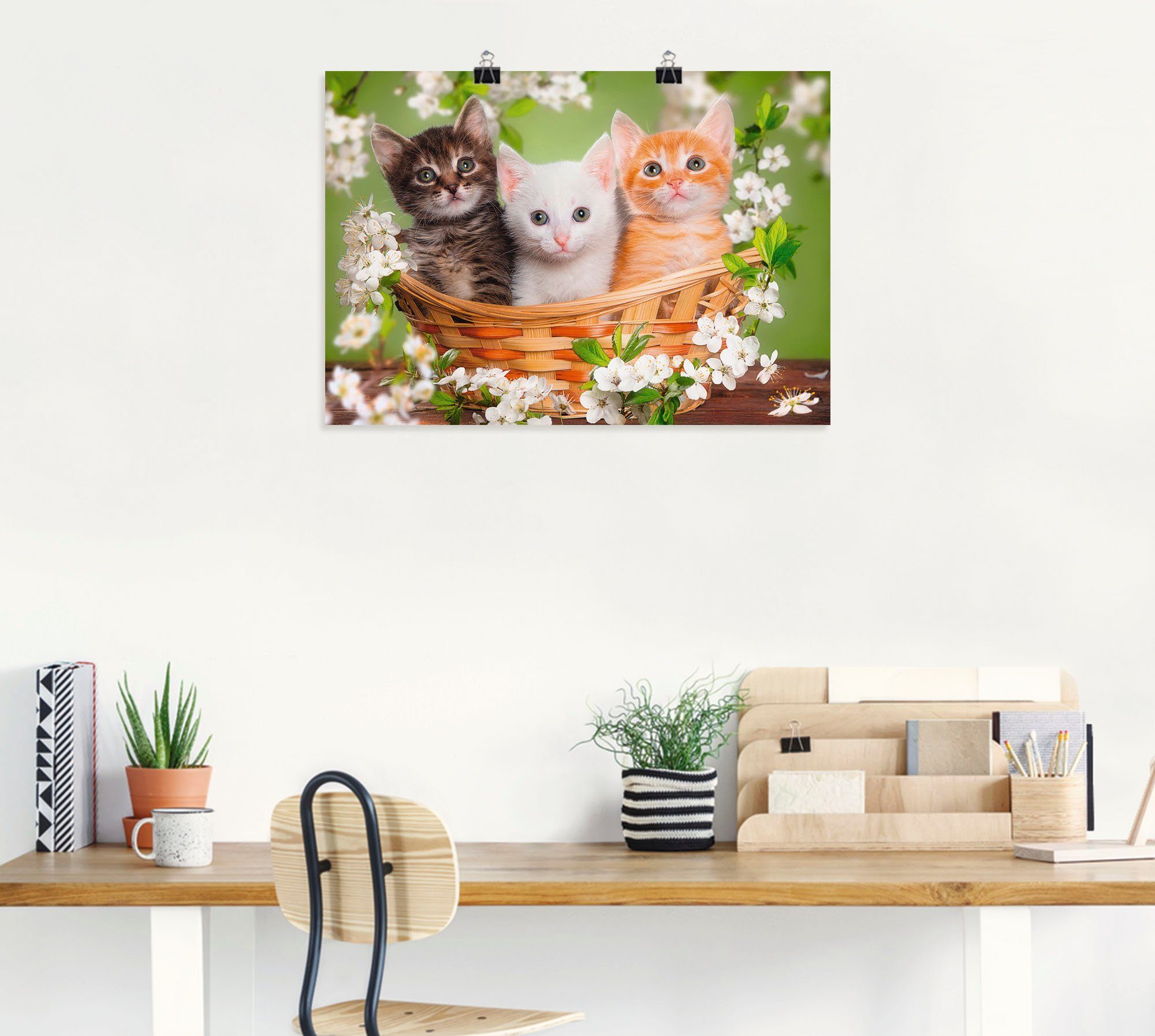 Größen (1 versch. Artland in Korb, oder Poster Wandbild Wandaufkleber als St), sitzen Alubild, Katzen in Haustiere einem Leinwandbild,