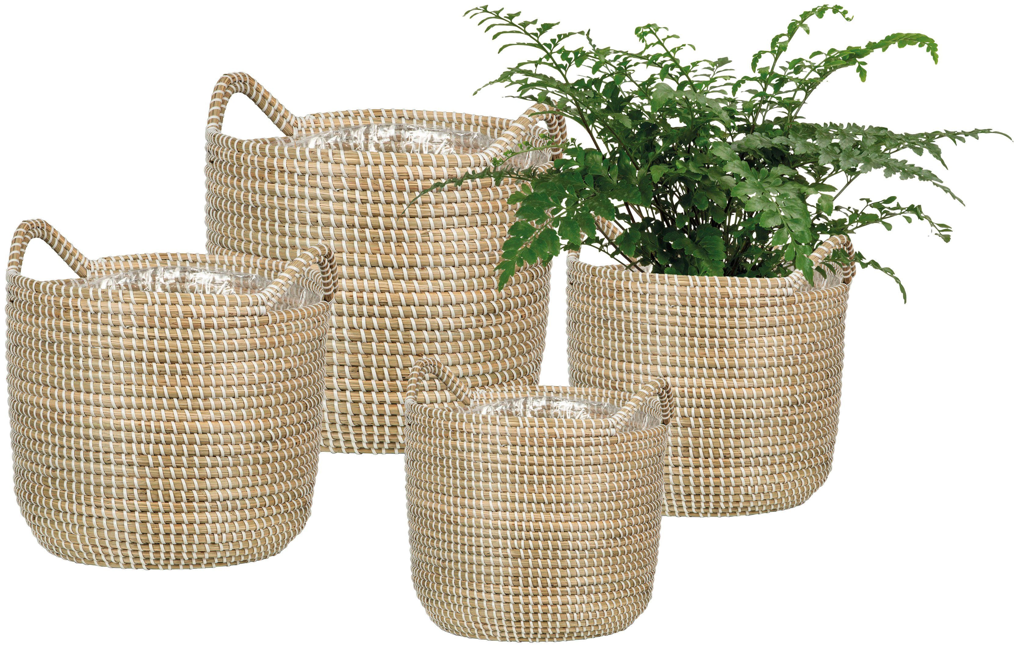 Scheurich Blumentopf white 36/514