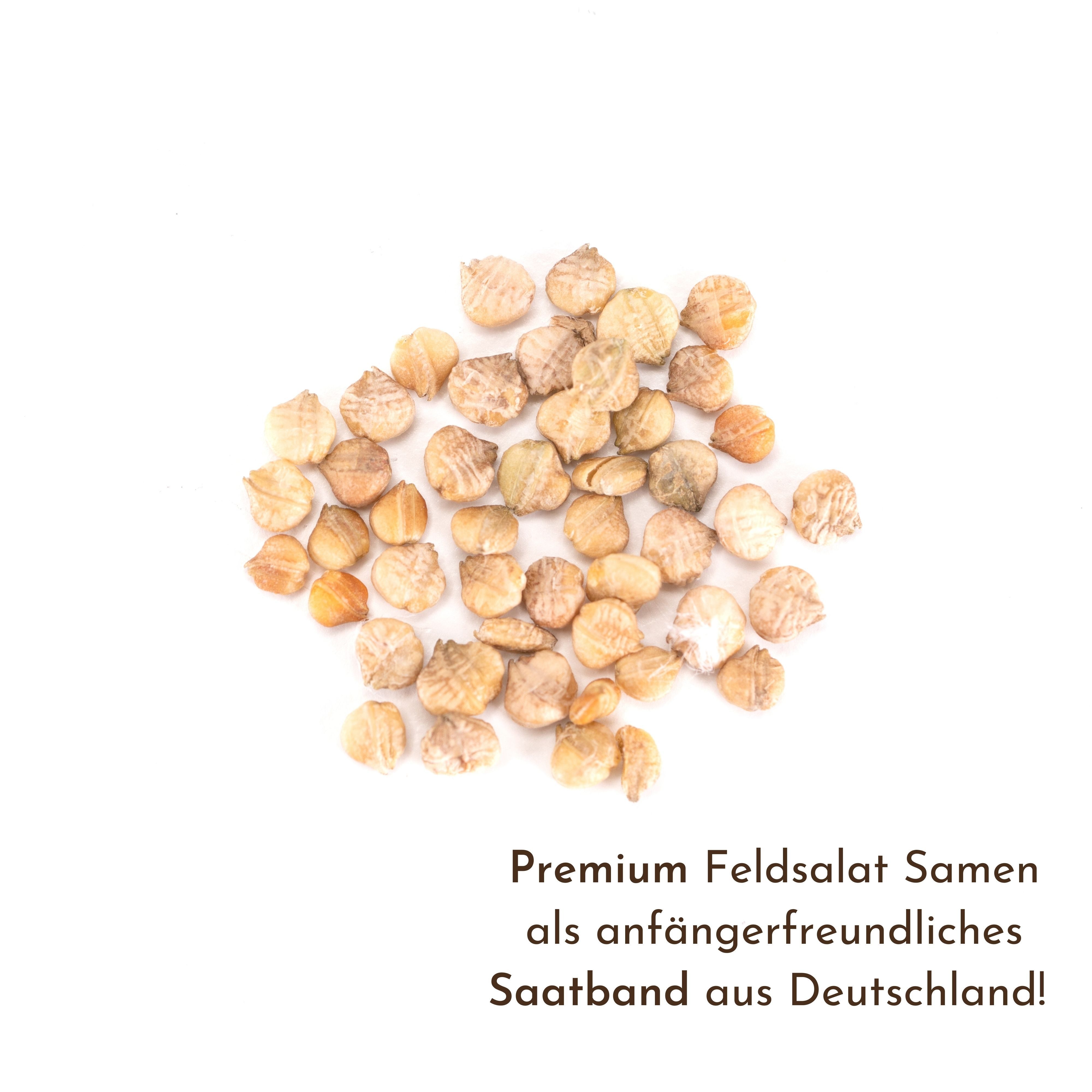 HappySeed Gemüsesamen 5m Saatband mit Feldsalat Samen - Verte a coeur plein günstig online kaufen