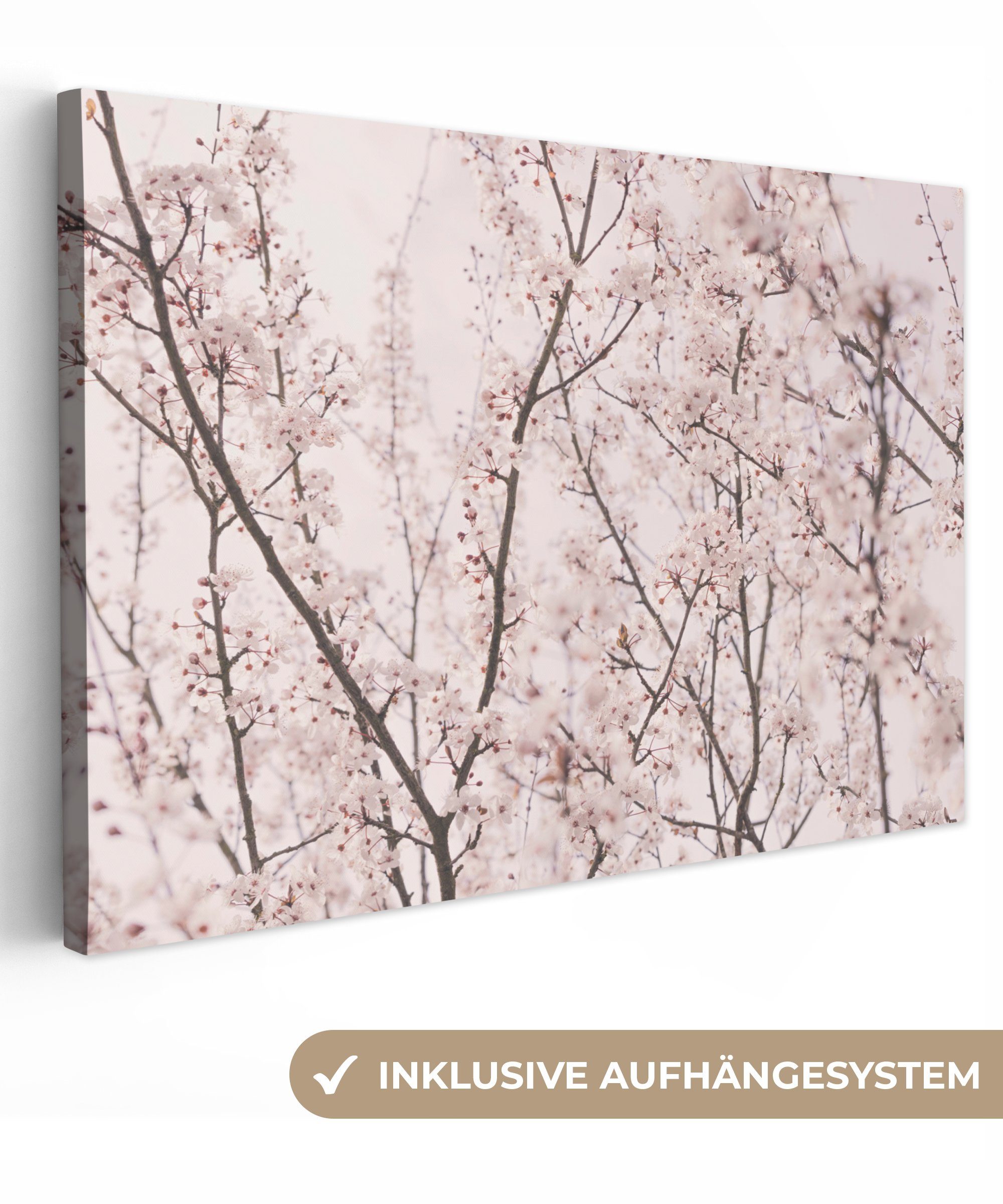 OneMillionCanvasses® Leinwandbild Blüte - Bäume - günstig online kaufen