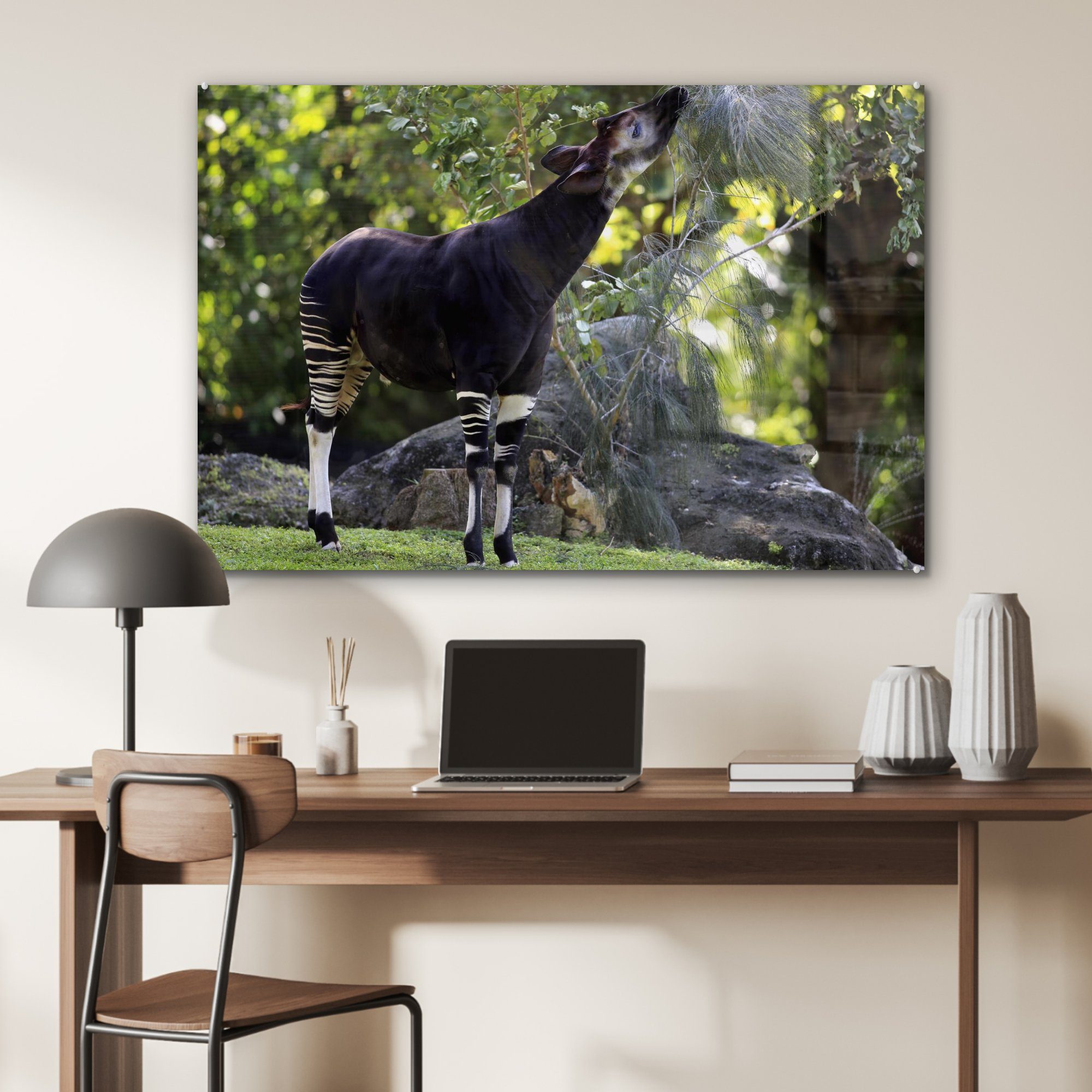 Acrylglasbilder Blätter (1 & Acrylglasbild Okapi Grasland, frisst Wohnzimmer im St), Schlafzimmer MuchoWow