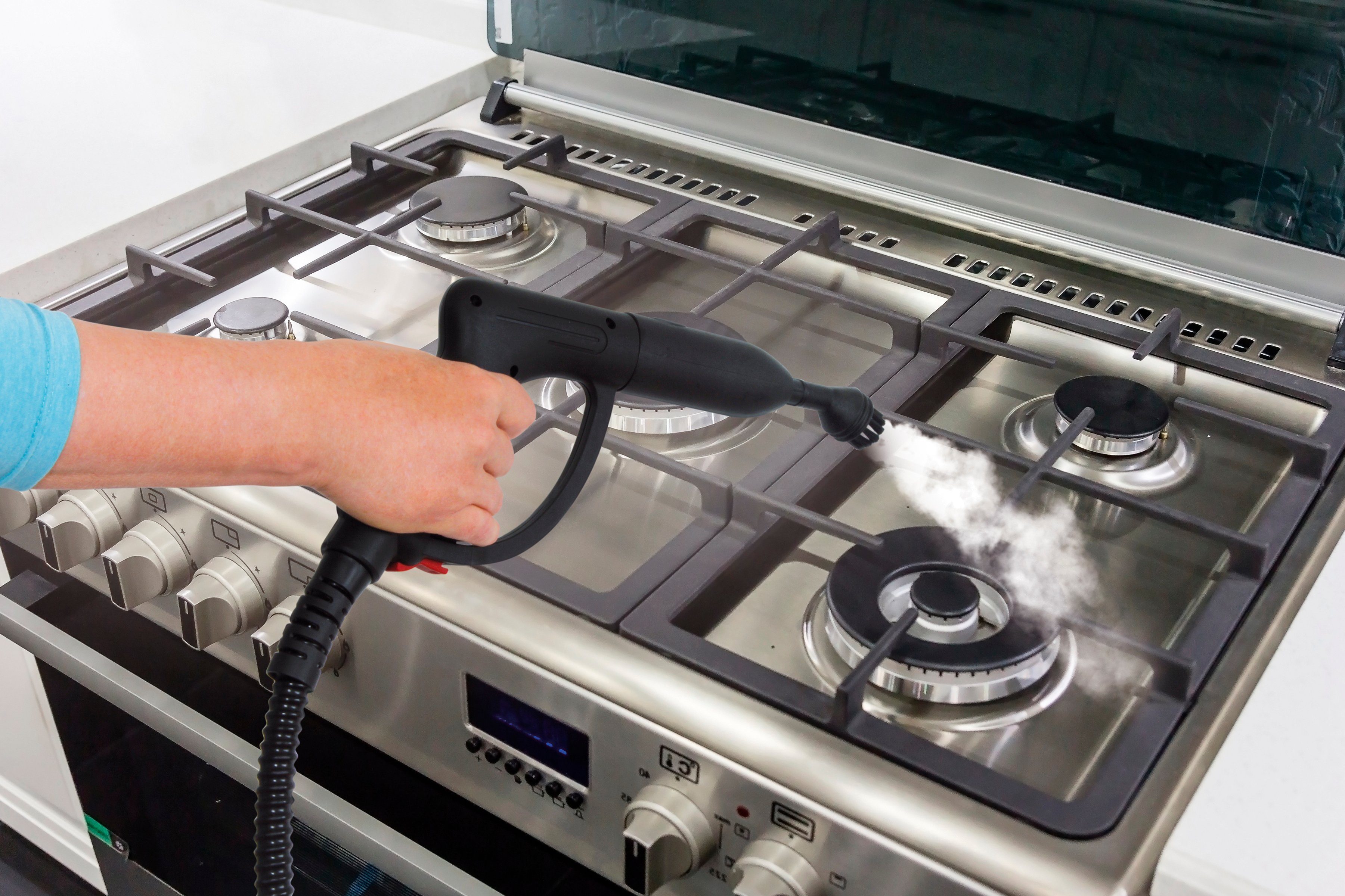 Linsar Dampfreiniger 12 Zubehörteile, Druck 4 Bar, kurze Vorheizzeit, 2,5m Kabel 1500 W