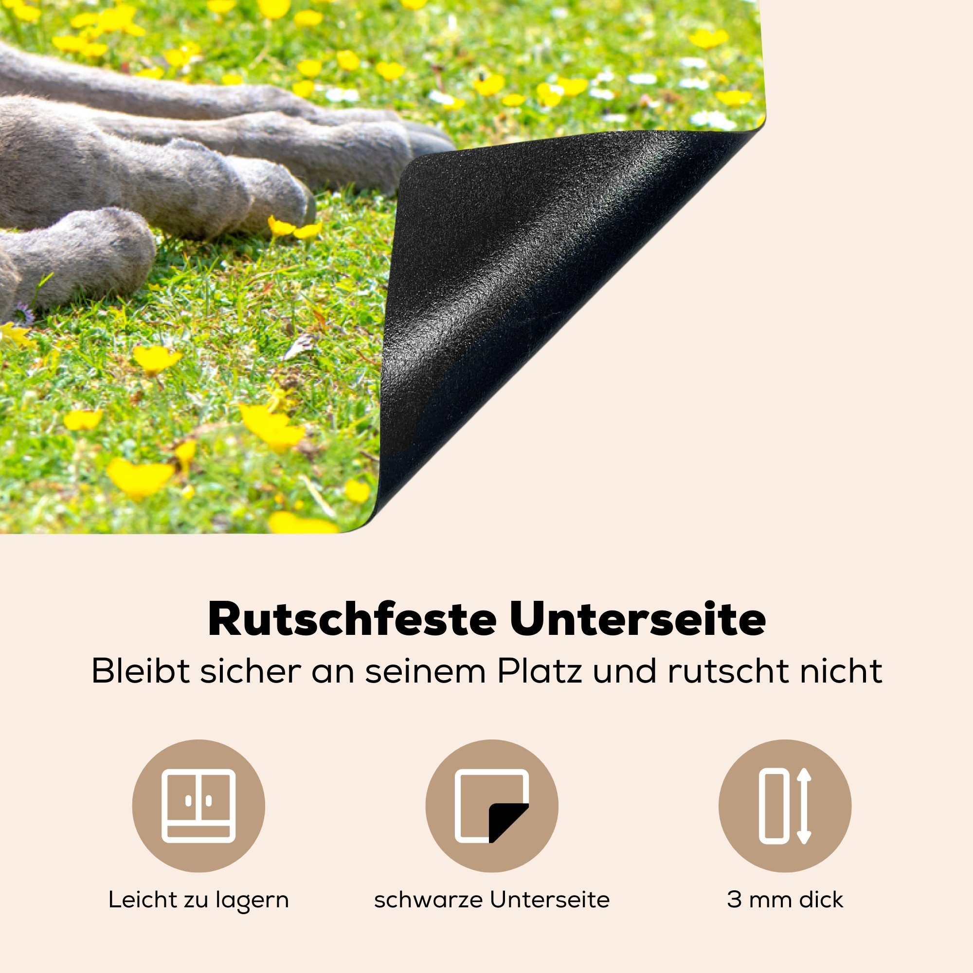 tlg), liegend, die MuchoWow Schutz Ceranfeldabdeckung cm, für Feld einem Herdblende-/Abdeckplatte Vinyl, mit 81x52 auf Induktionskochfeld küche, Esel (1 Blumen