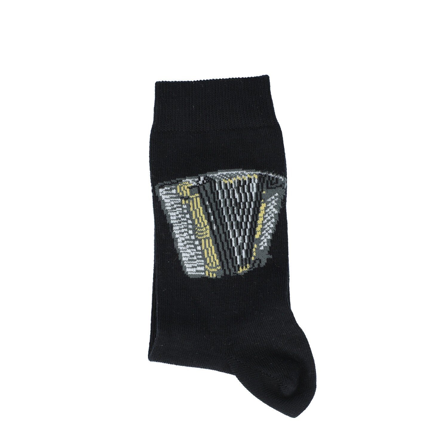 Freizeitsocken Socken mit eingewebtem Akkordeon, Musik-Socken - Größe: 39/42