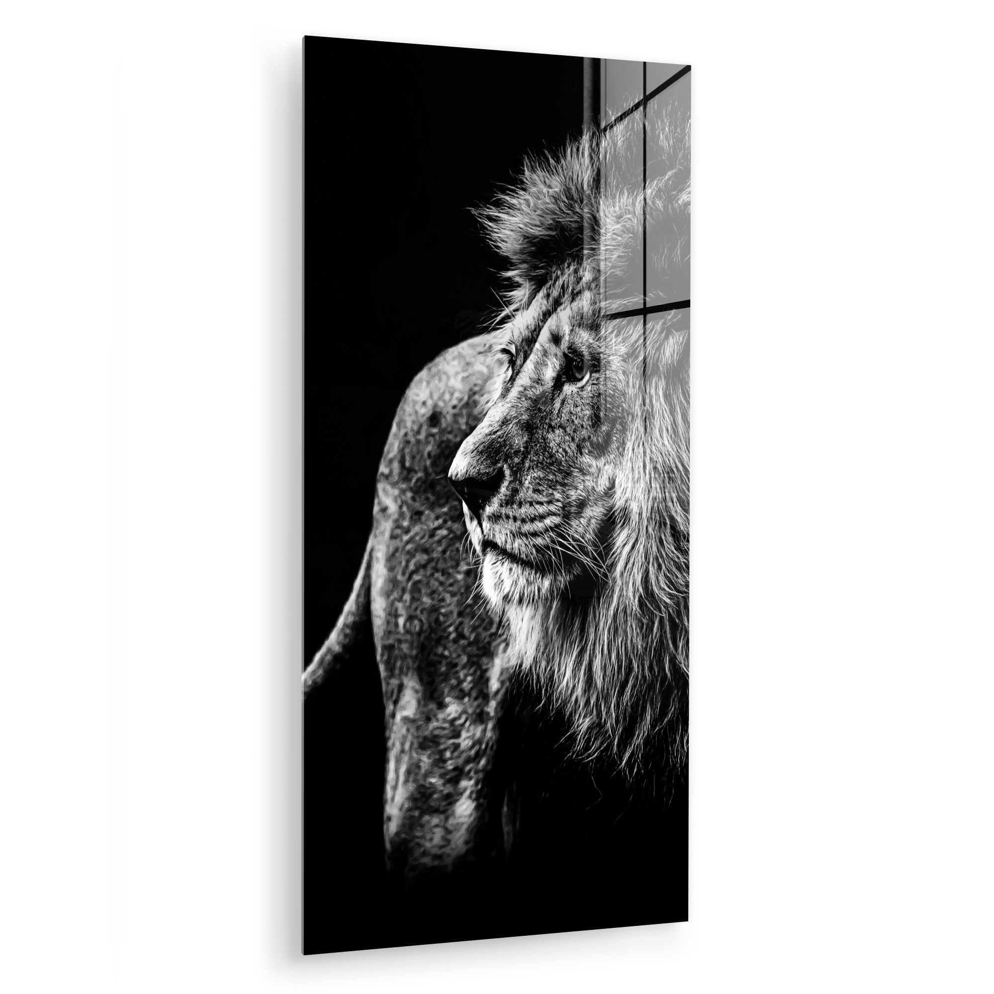 MuchoWow Acrylglasbild Tiere - Wild - günstig online kaufen
