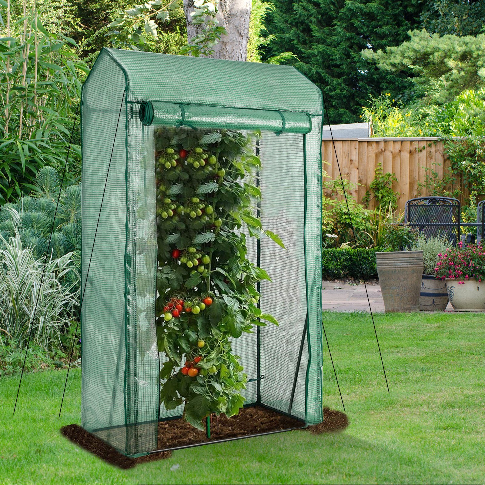 COSTWAY Tomatengewächshaus, klein & begehbar, mit PE Gitterfolie &  aufrollbarer Reißverschlusstür