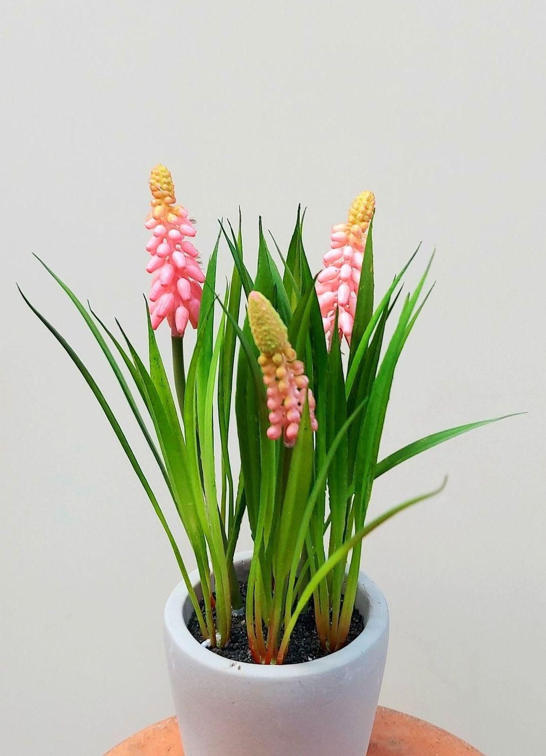 Kunstblume Kunst Blume Traubenhyazinthe NARMADA im Zementtopf, rosa, 20cm Hyazinthe (Traubenhyazinthe), artplants, Höhe 20.0 cm