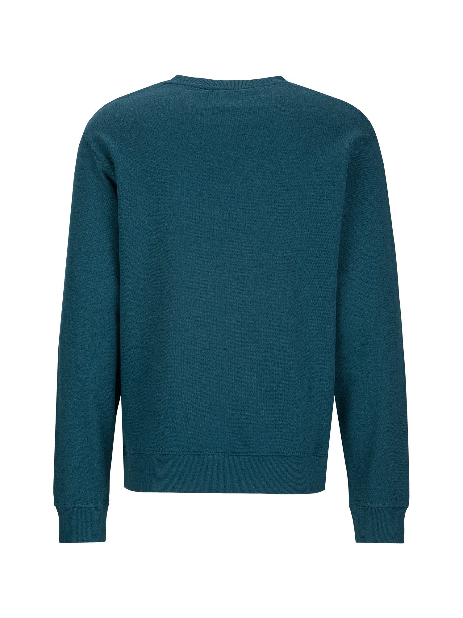 Replay Sweatshirt Sw Small Logo günstig online kaufen