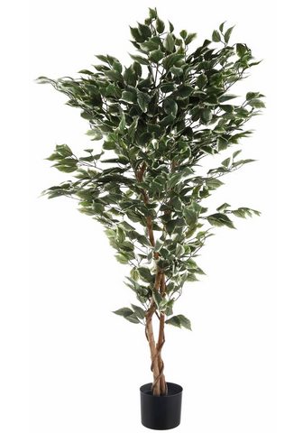  Искусственное растение »Ficus Be...