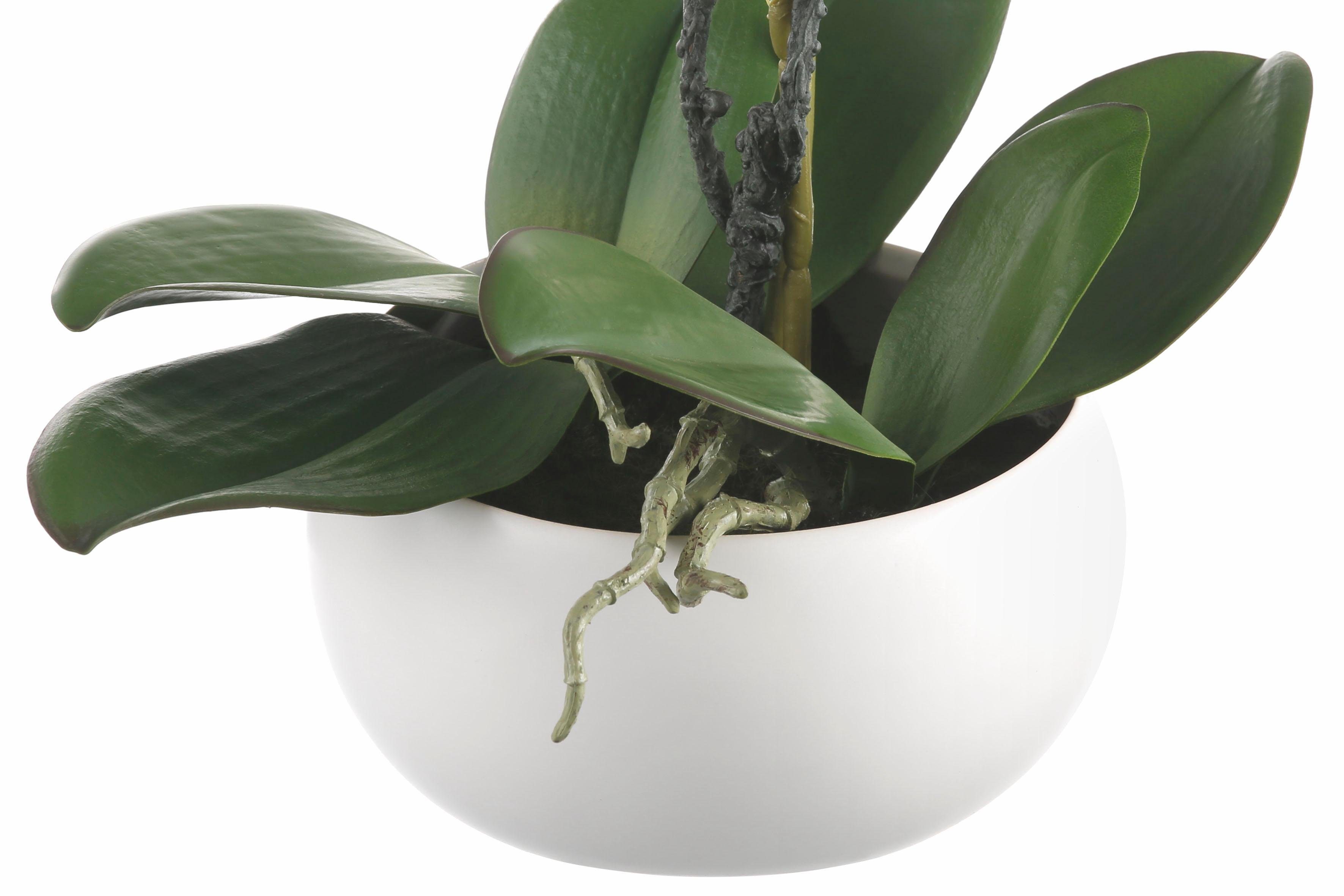 Kunstpflanze »Orchidee« Orchidee, Creativ green, Höhe 42 cm-HomeTrends
