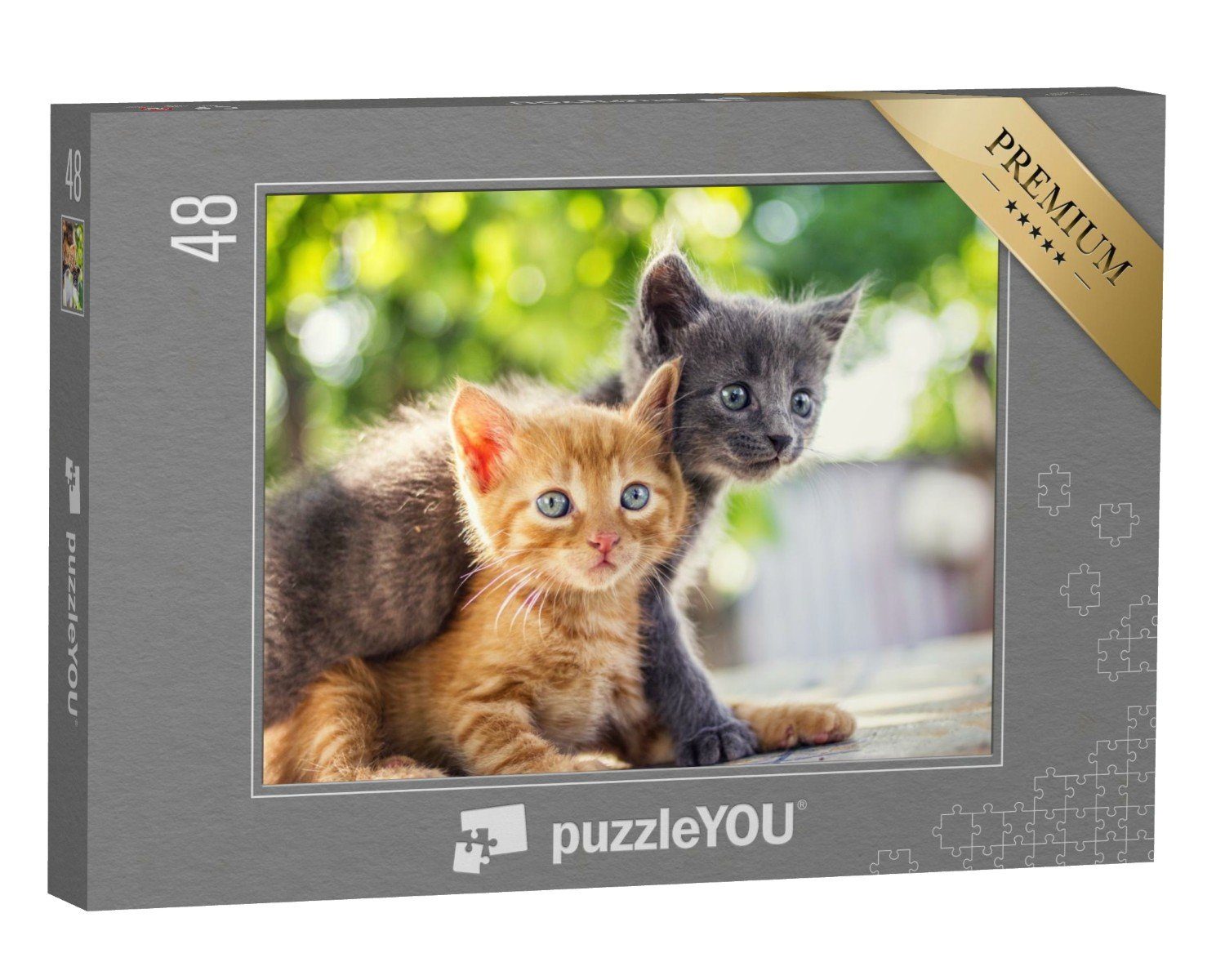 puzzleYOU Puzzle Zwei bezaubernde Kätzchen spielen, 48 Puzzleteile, puzzleYOU-Kollektionen Katzen-Puzzles