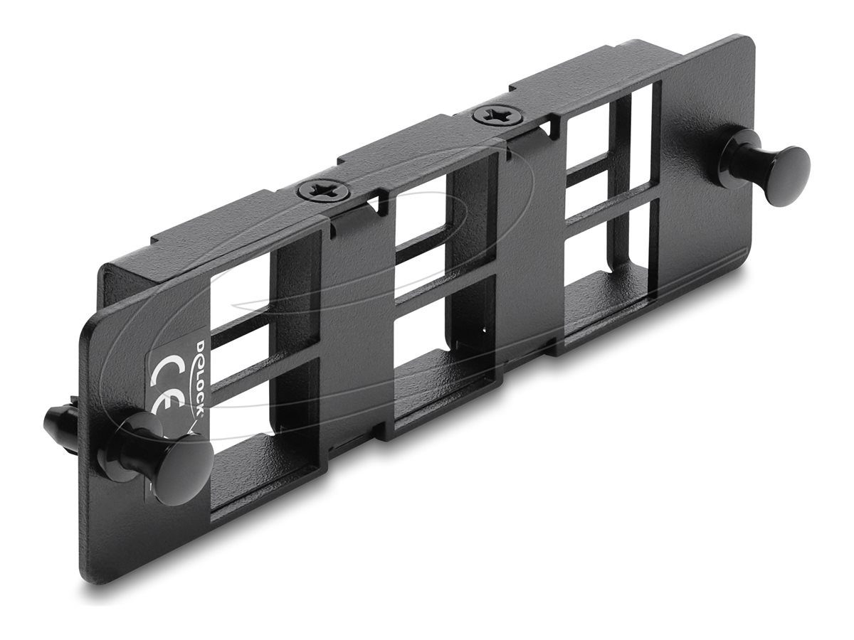 Delock Adapter